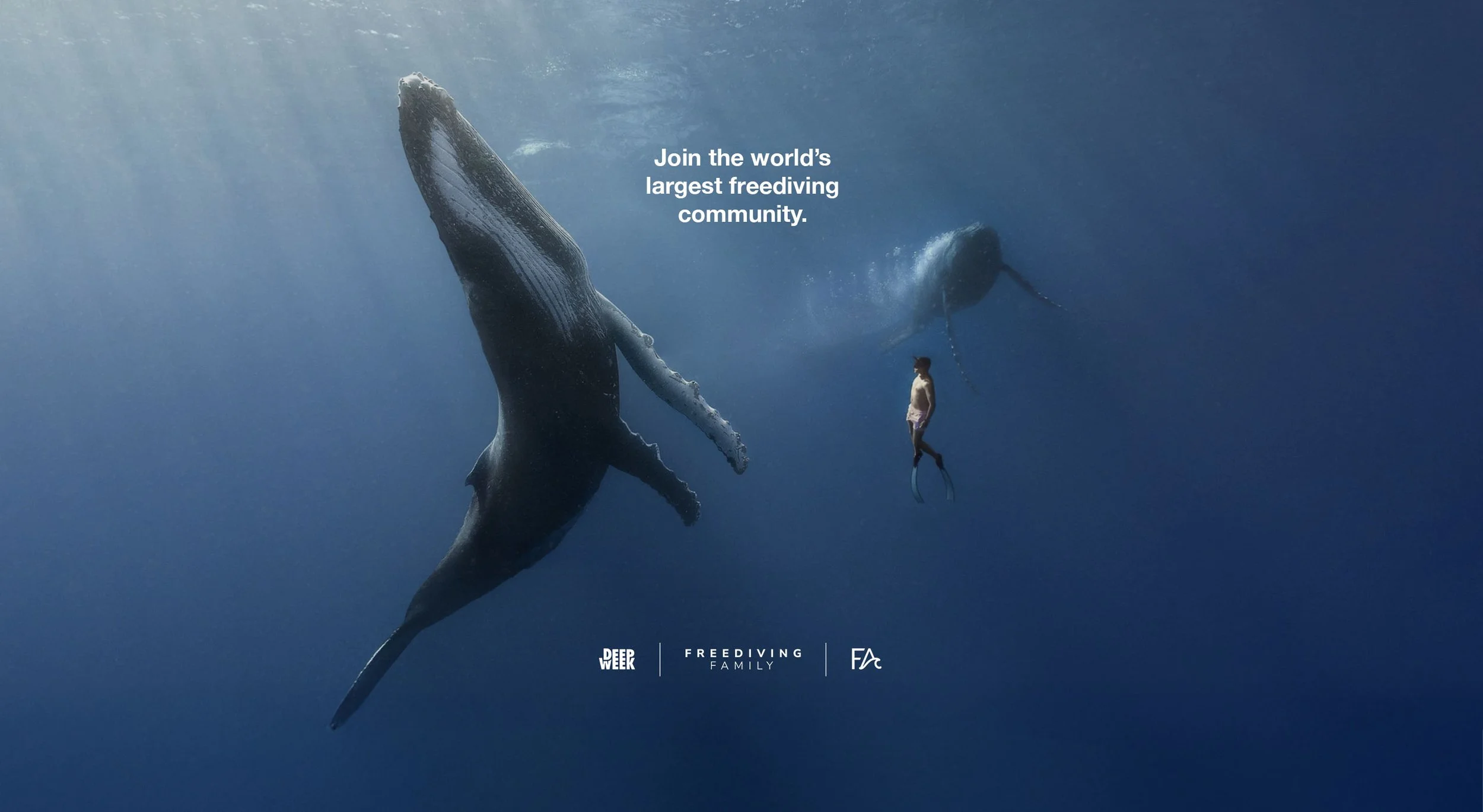 Whale_v3_new_logos.jpg