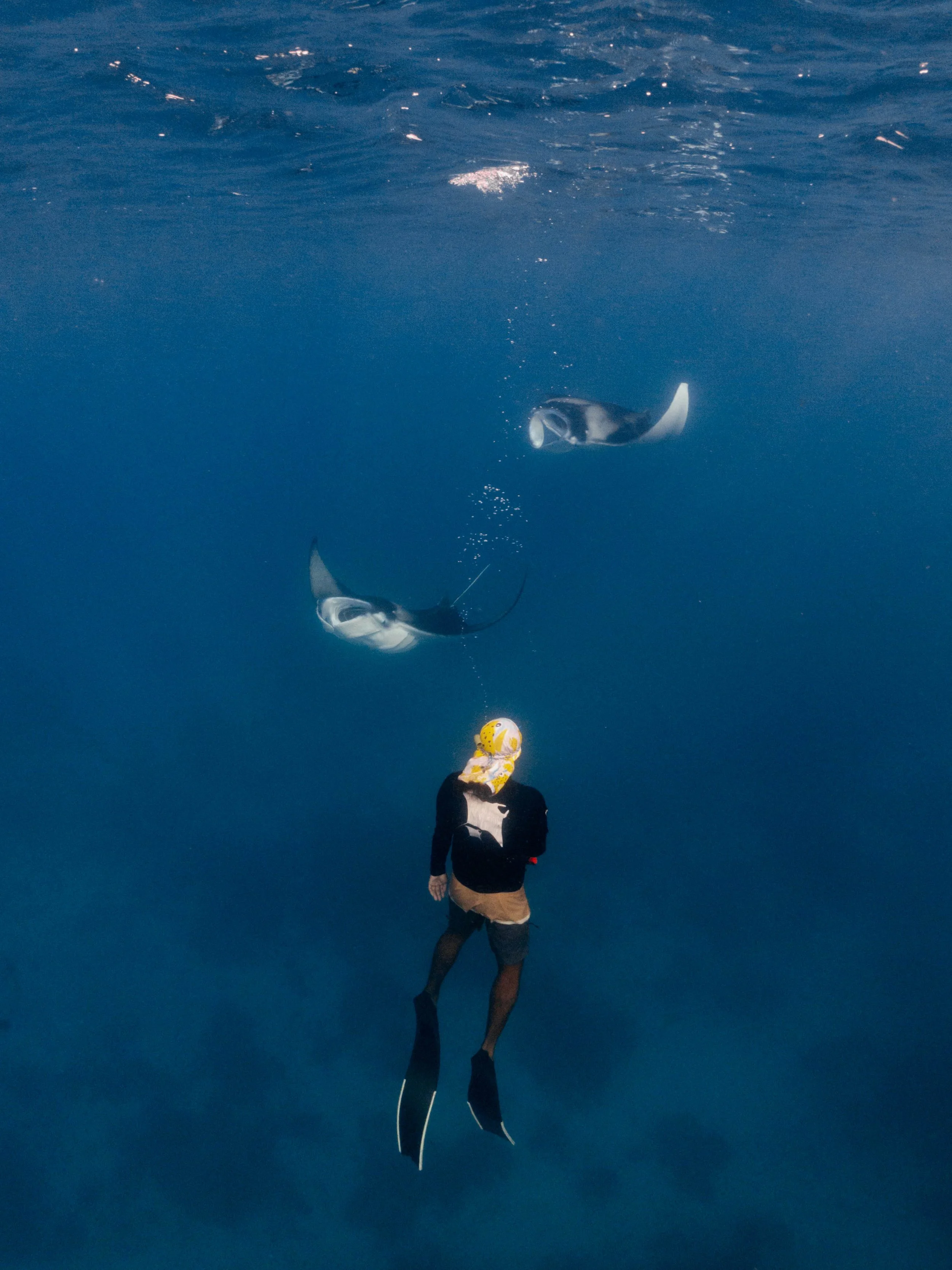 Manta5_DSC05382.jpg