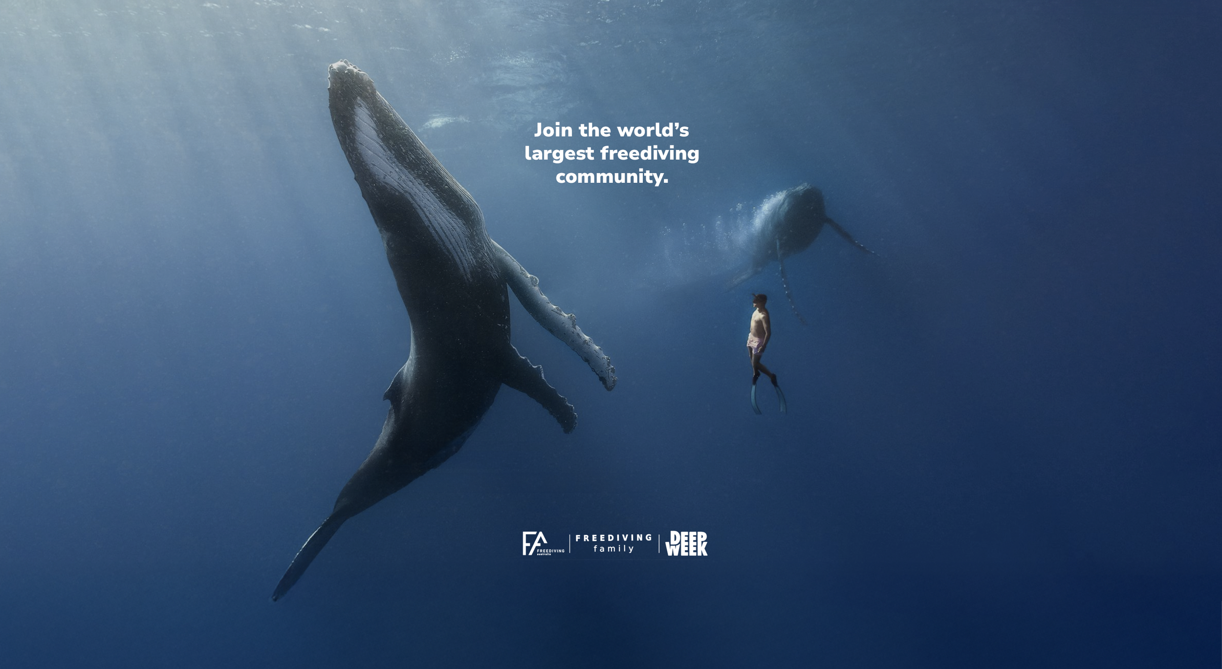 Whale_v2.png