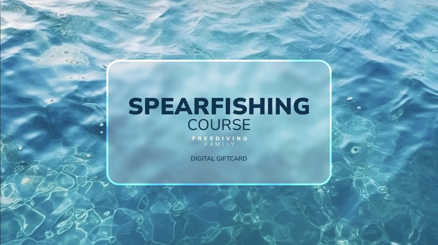 Gift_cards_square_2024_v2SPEARING.jpg