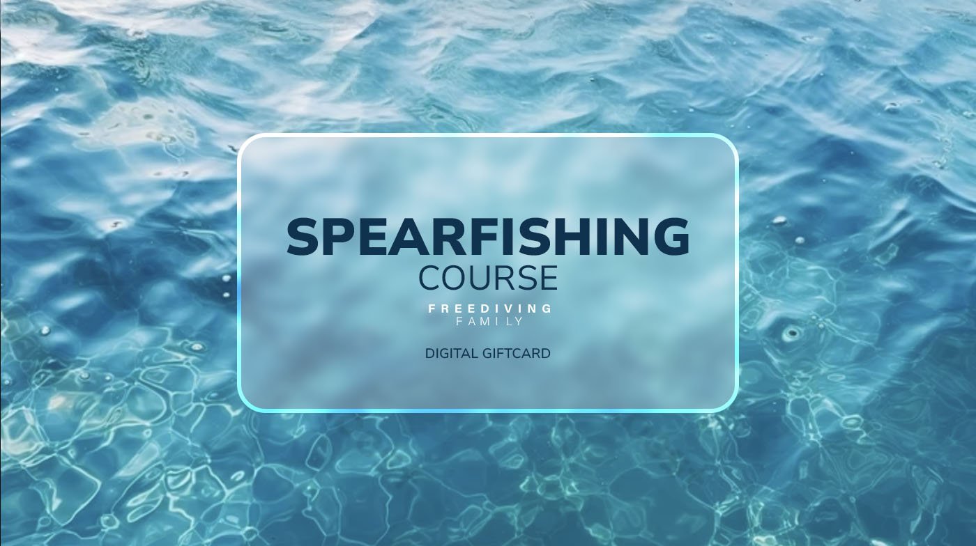 Gift_cards_square_2024_v2SPEARING.jpg
