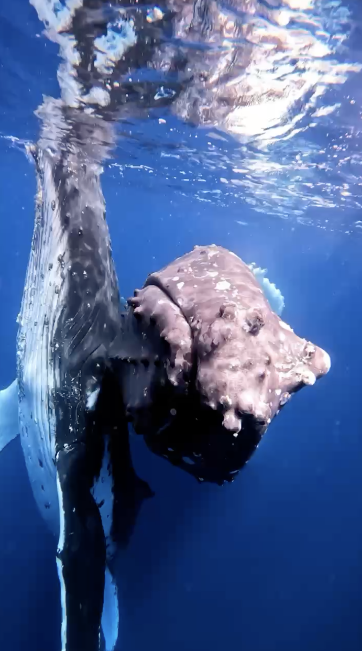 Screenshot 2025-12-18 at 12.25.53 PM.png