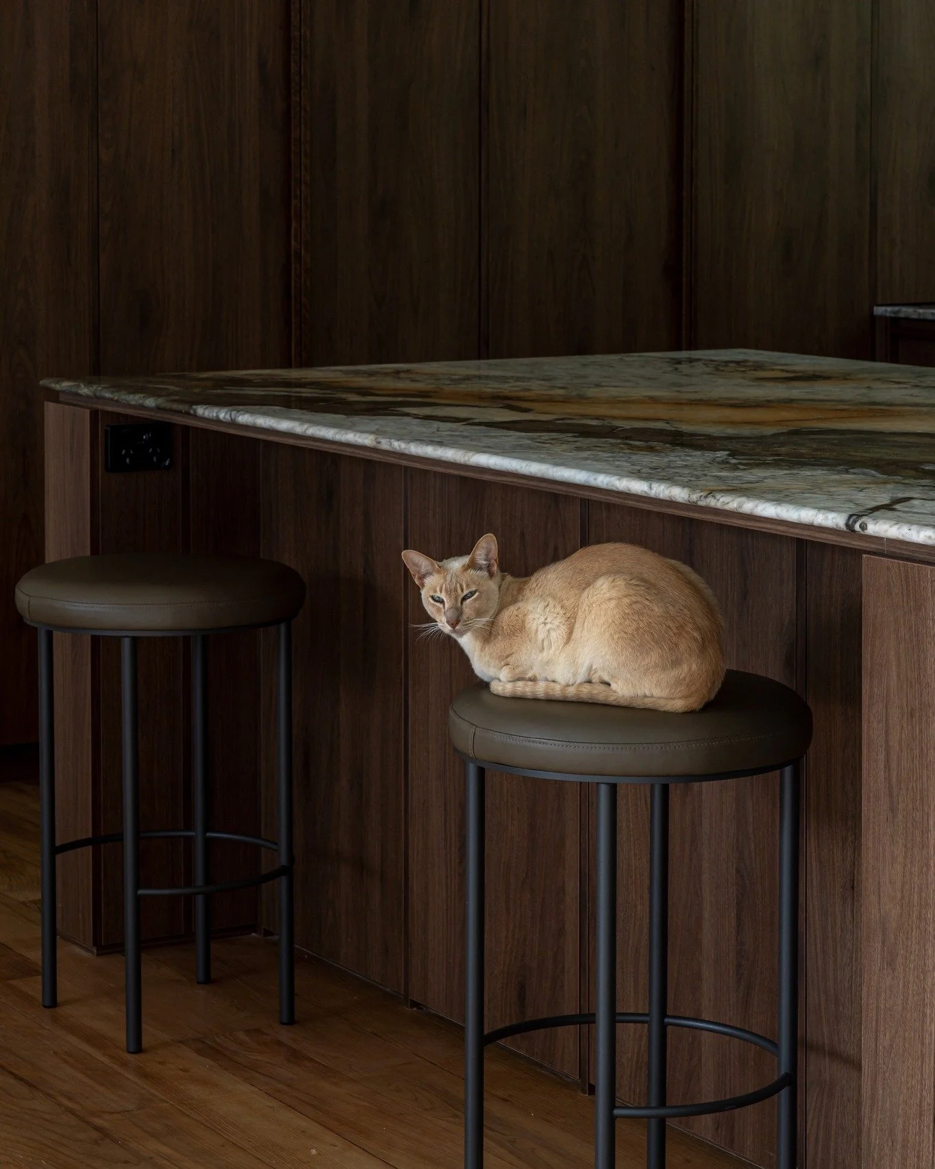 A closer look at the details.

This green marble benchtop brings texture, character and a natural focal point to the space, pairing perfectly with the warm timber cabinetry.

Contact:
📍 Auckland | Mangawhai | Whangarei | Waiheke Island
📞 +64 27 544