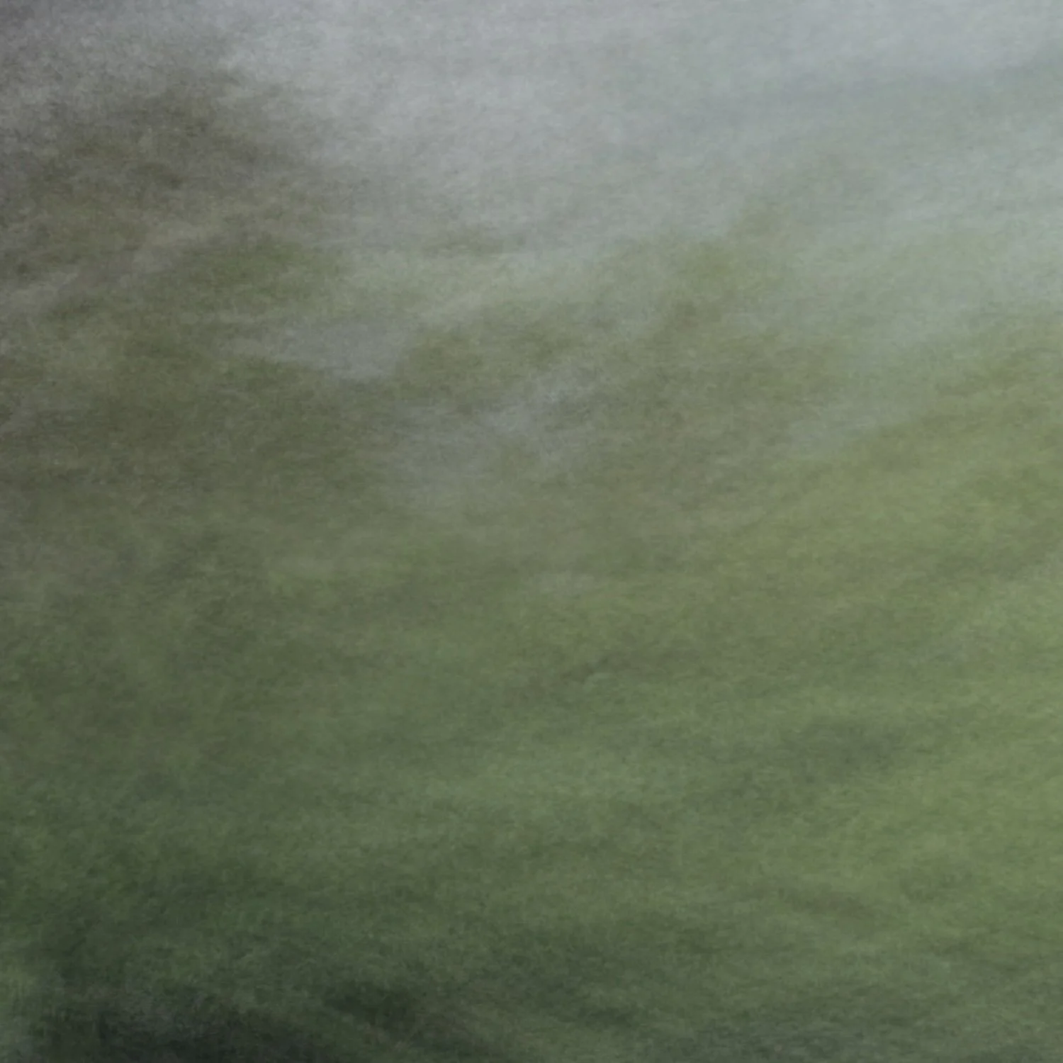 Vicky_Stein_Traces No. 2.jpeg