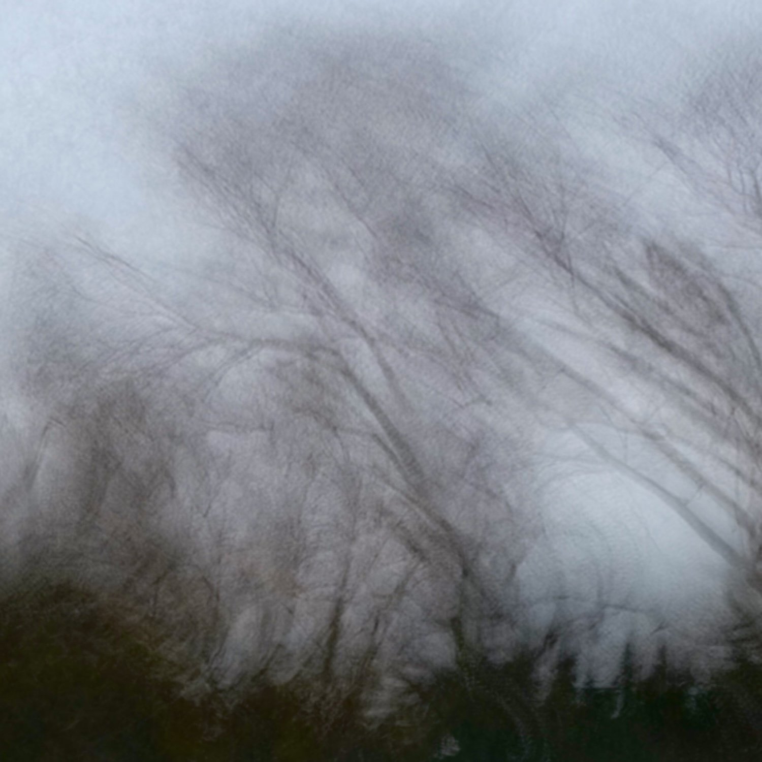 Vicky_Stein_Traces No. 4.jpeg