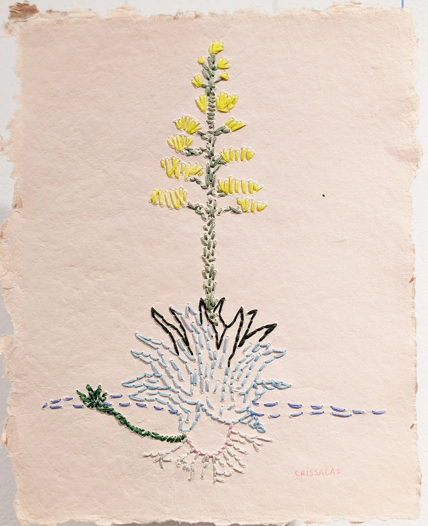 Artist_Cristina Salas_Agave Blanco_2025_Emboridery on recycled paper_11_x9_.jpg