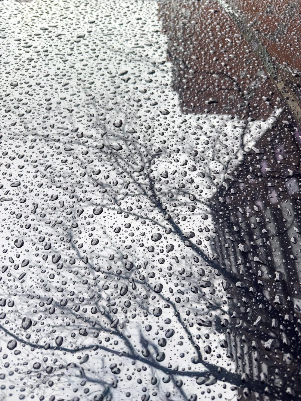 Artist_Cheryl_Aden_Reflective Drops_2025_Archival Pigment Print_12x9.jpg