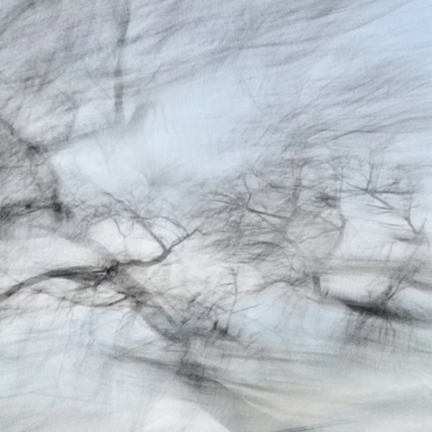 Vicky_Stein_Traces No. 3.jpeg