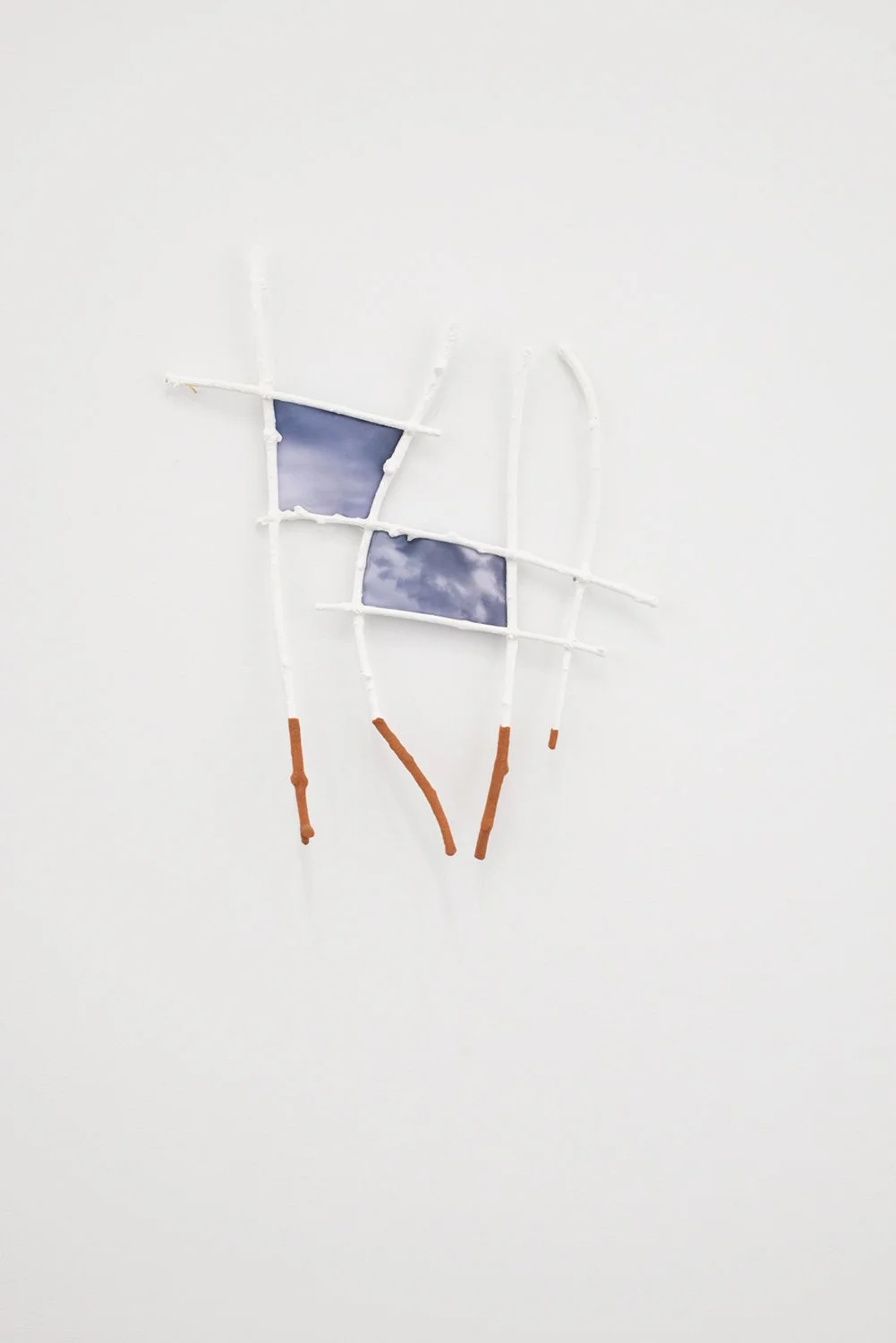 Capucine_Bourcart_CLOUDS TOUCHING GROUND_2025_Branches, acrylic paint, photograph printed on fabric_soil_17.5x13.25x0.5 IN.jpg