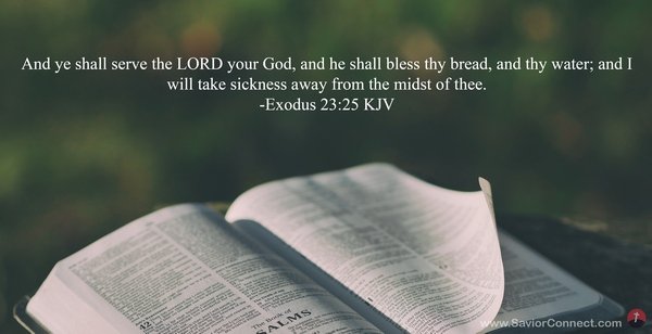 Day 37 | Exodus 22-24 | Chronological Bible Reading Plan