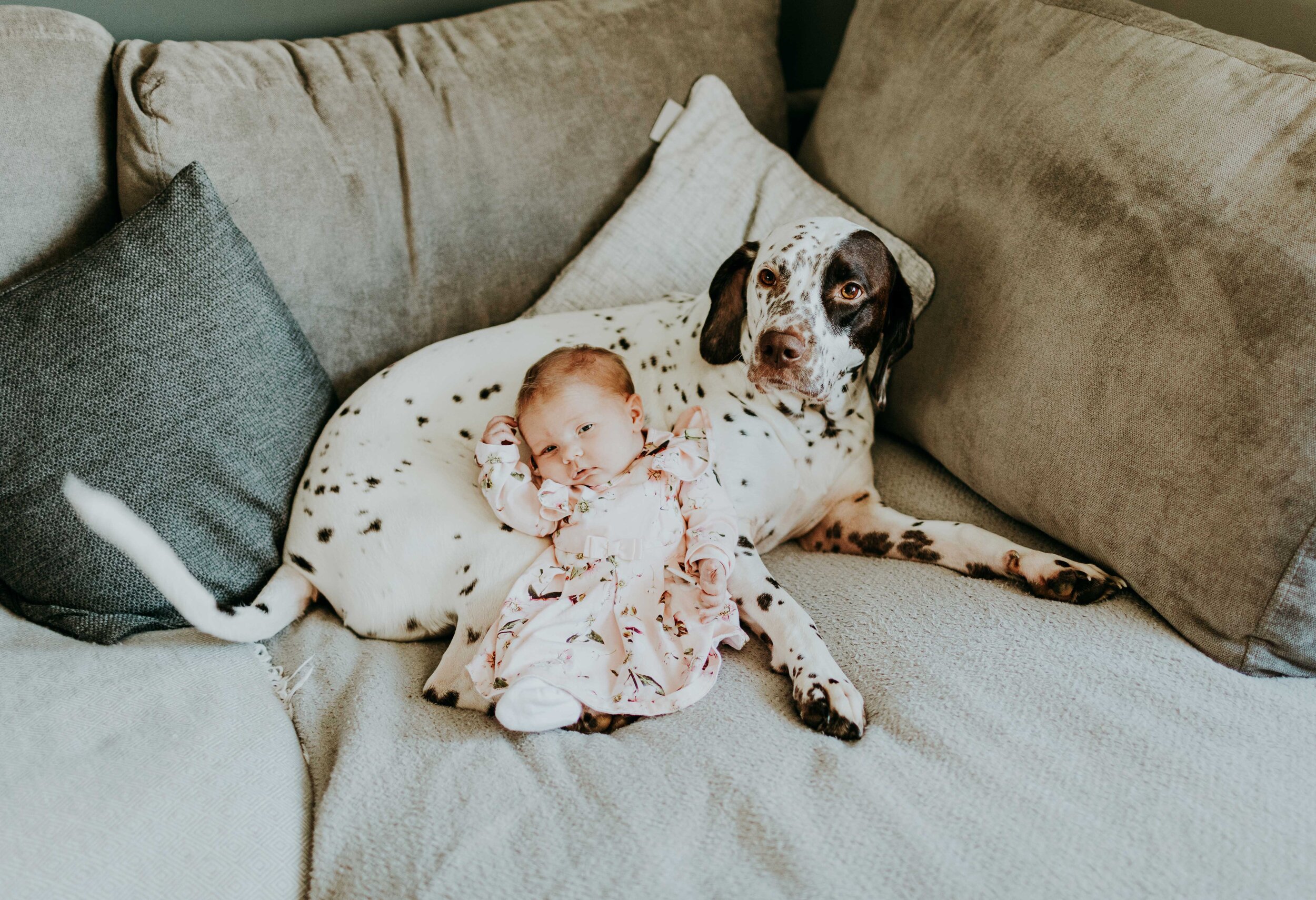 A baby in a floral outfit cuddling with a spotted dog on a gray couch.