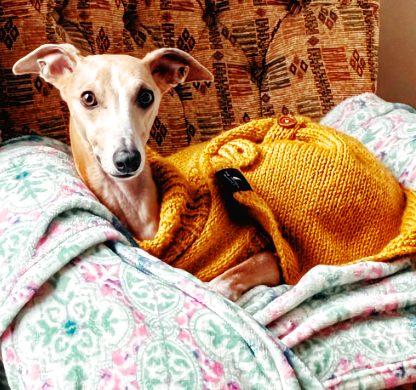 A person in a red jacket walking on a wet sandy beach beside a calm body of water, with mountains in the background and a cloudy sky overhead.