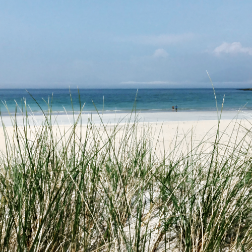 A scenic view of a small island with trees, surrounded by calm water, with mountains in the background and a bird flying in the sky.