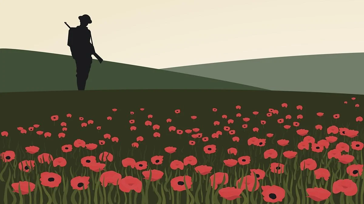 WW1 poppy field