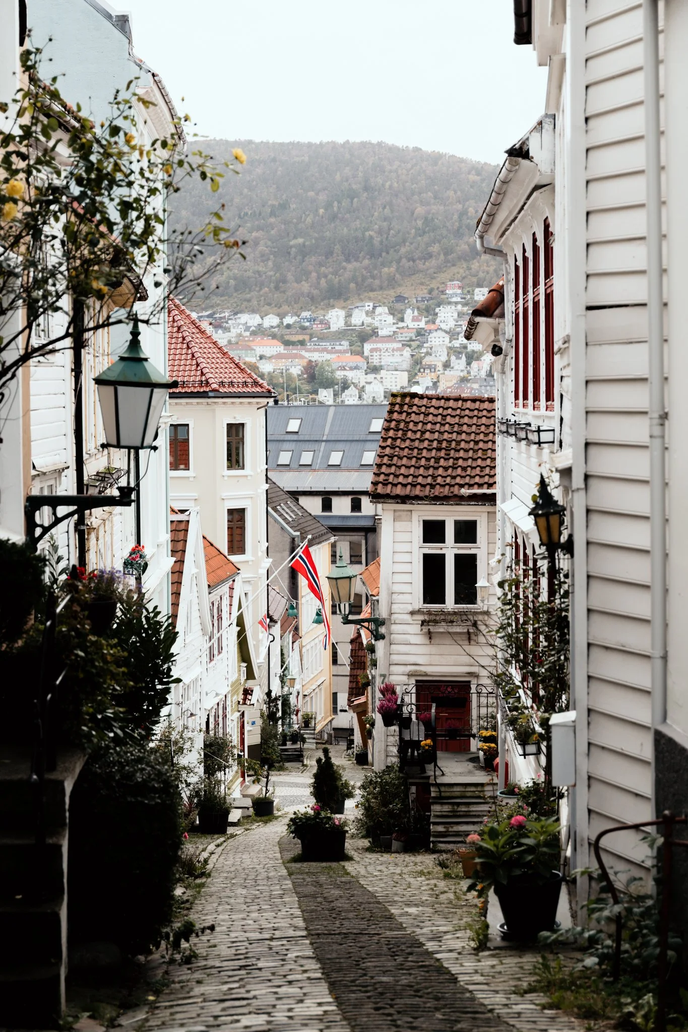 Georgina Morrison-Bergen Norway 2023-19.jpg