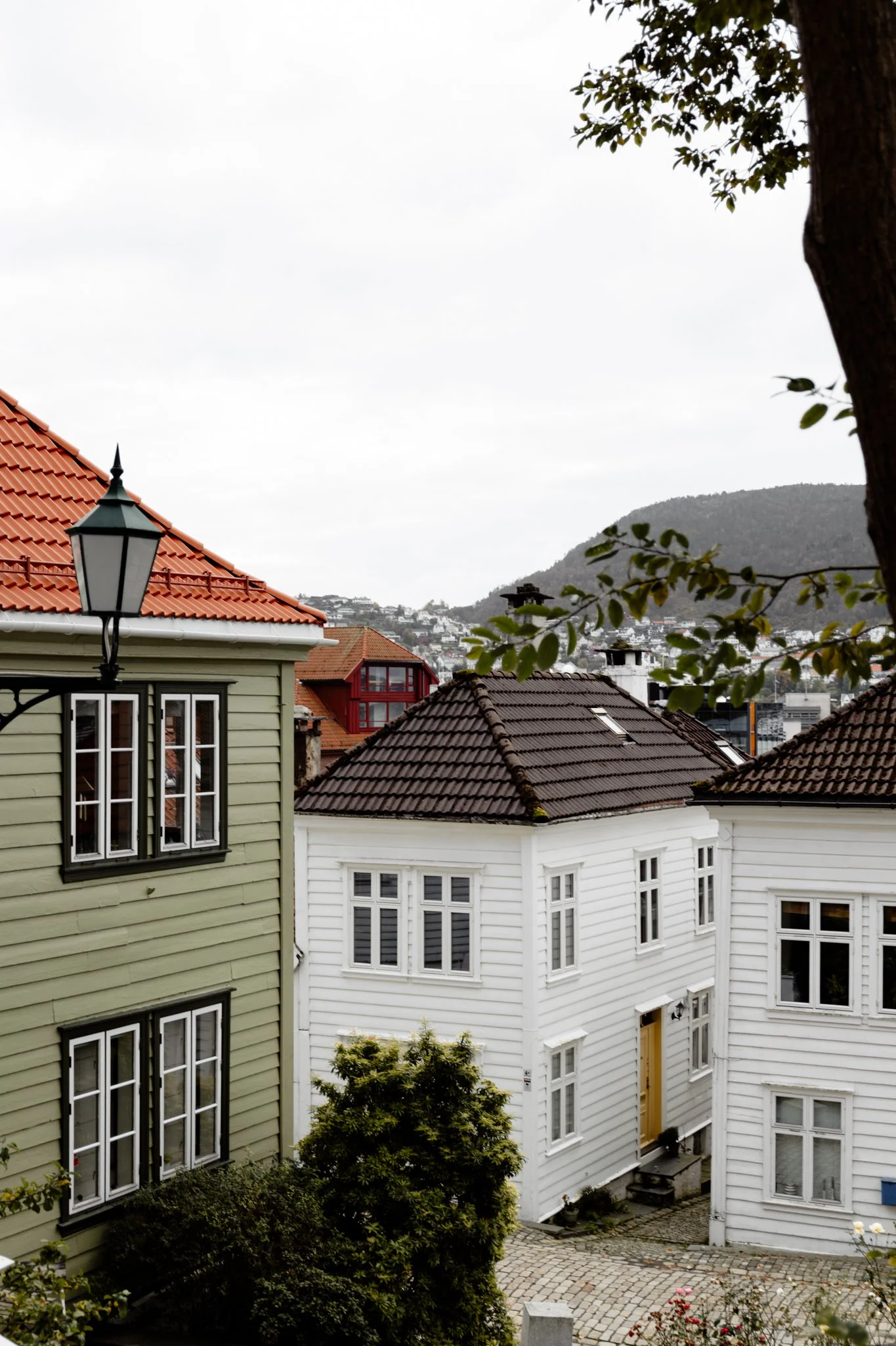 Georgina Morrison-Bergen Norway 2023-20.jpg