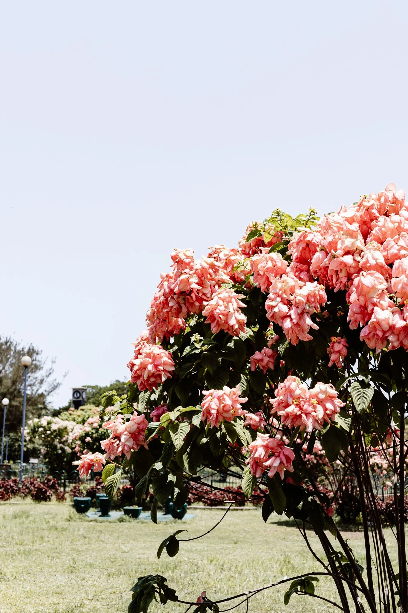 GeorginaMorrisonPhotographer-Mumbai-India-7.jpg