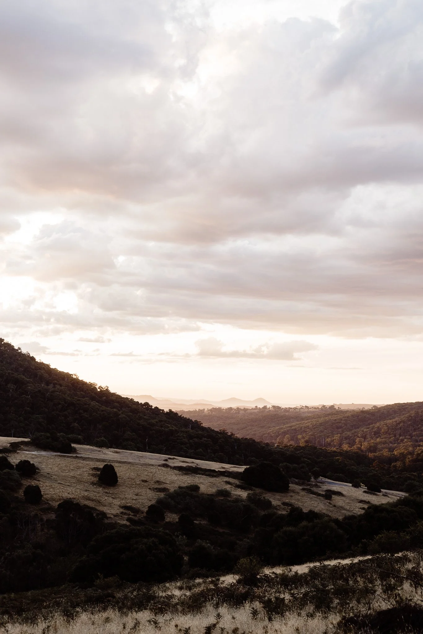 Merrijig_Victoria_Australia_01.jpg
