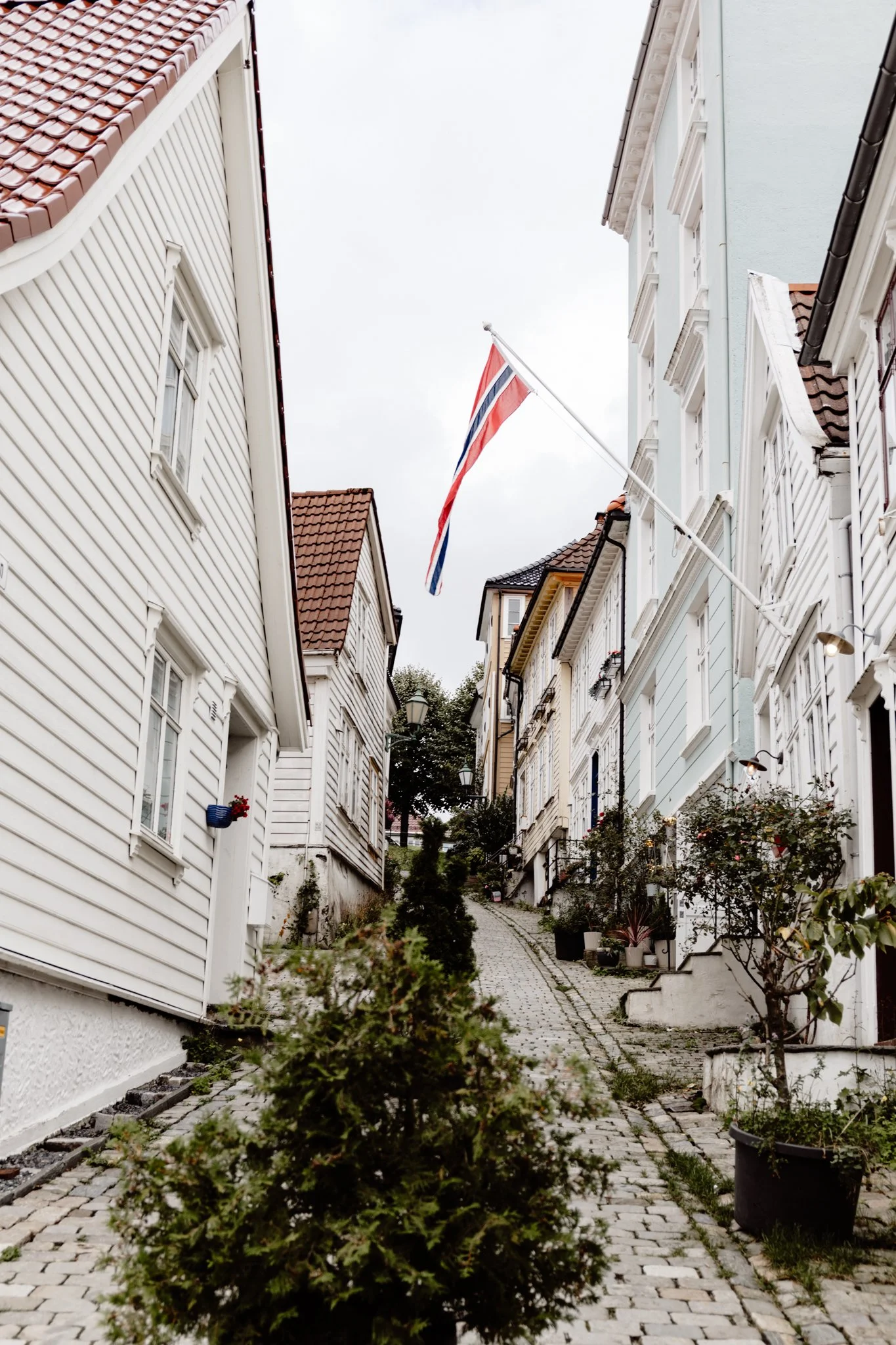 Georgina Morrison-Bergen Norway 2023-23.jpg