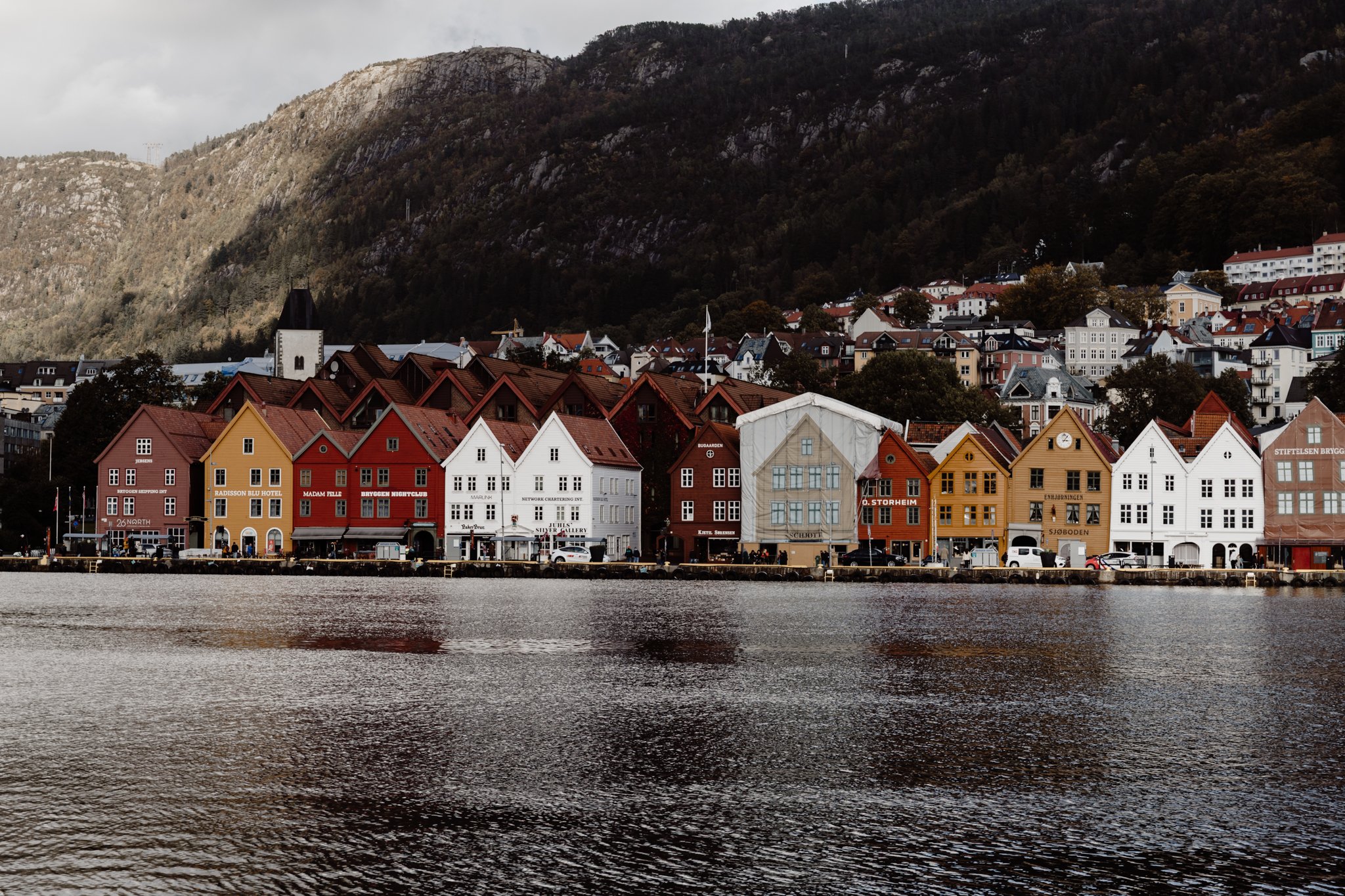 Georgina Morrison-Bergen Norway 2023-17.jpg