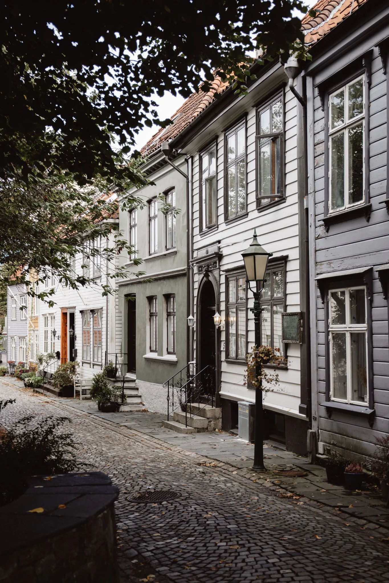 Georgina Morrison-Bergen Norway 2023_5.jpg