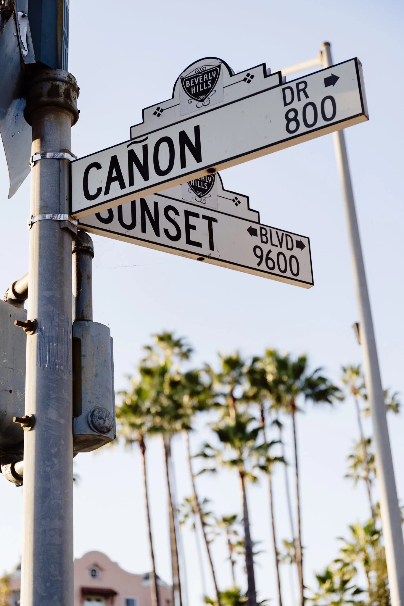 GeorginaMorrison-LosAngeles2025-52.jpg