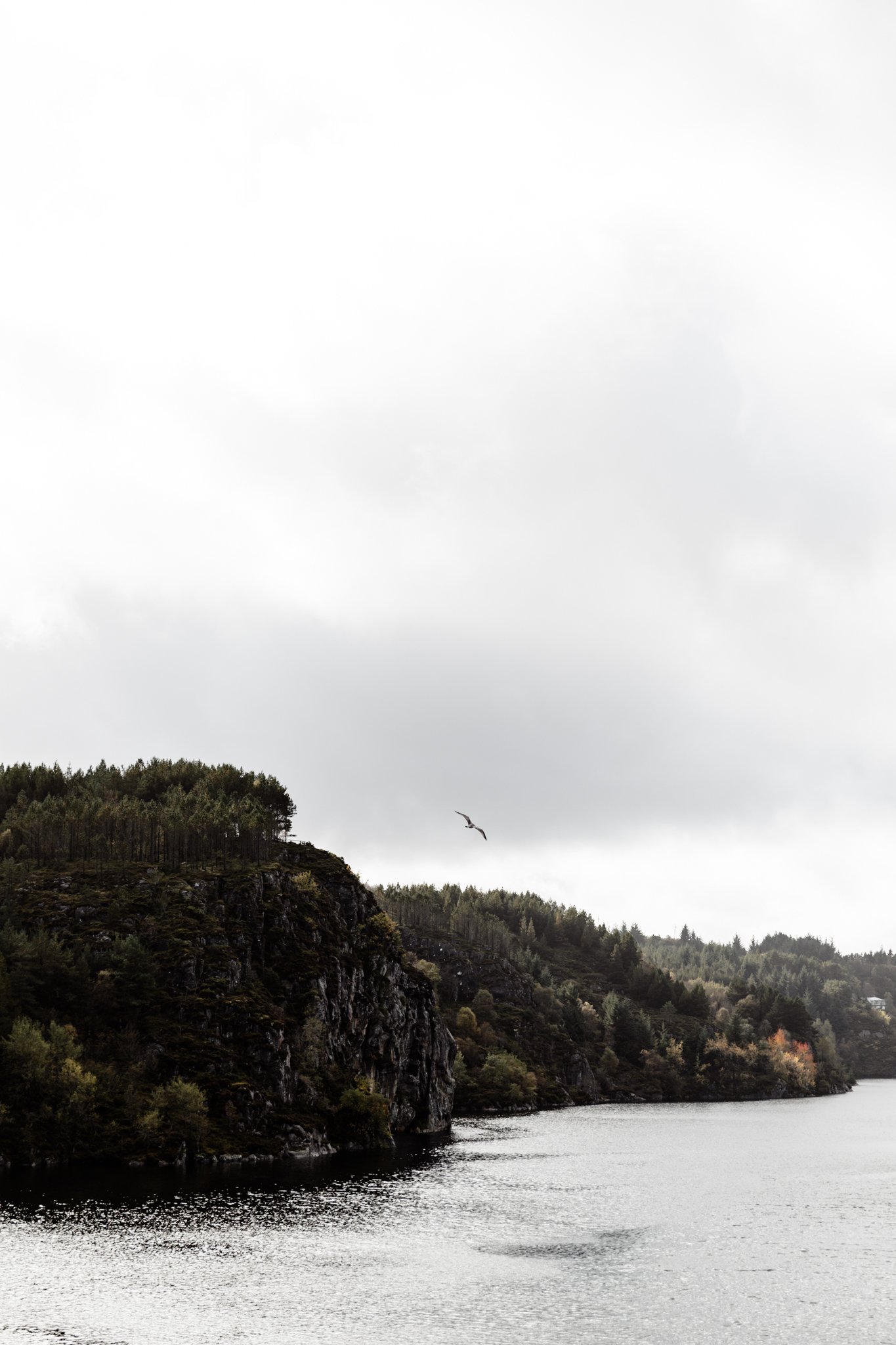 Georgina Morrison-Bergen Norway 2023-13.jpg