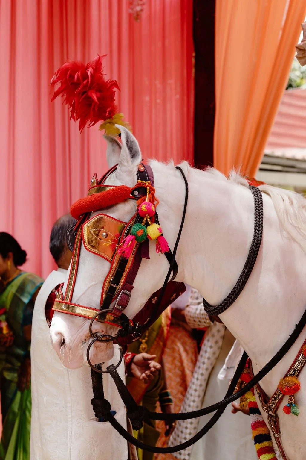 GEORGINAMORRISON-MUMBAIINDIAWEDDING-20.jpg