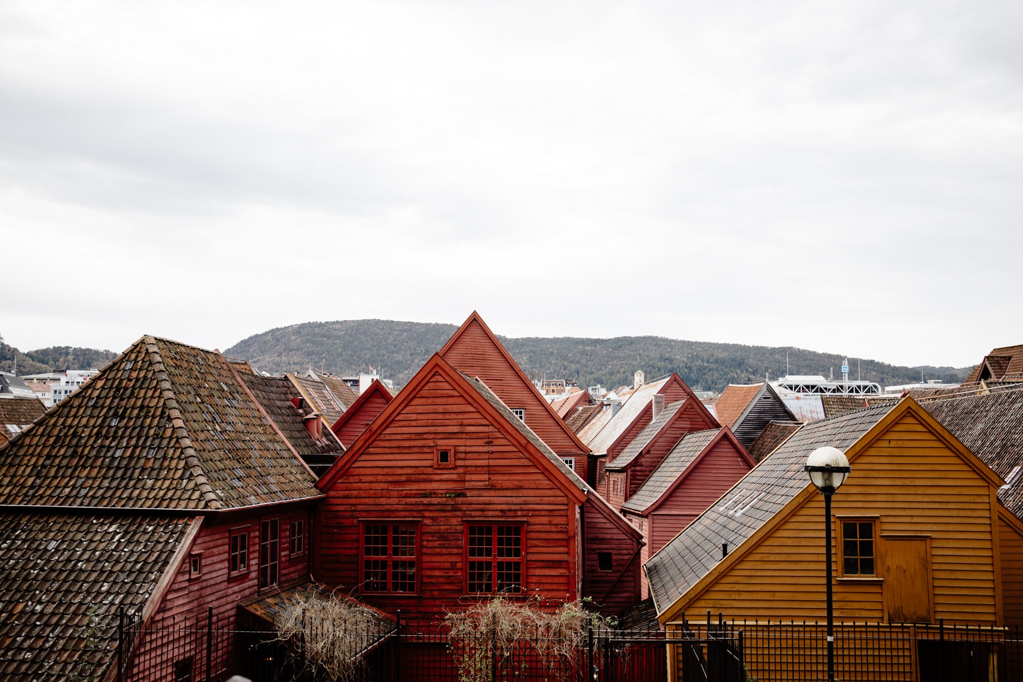 Georgina Morrison-Bergen Norway 2023_02.jpg