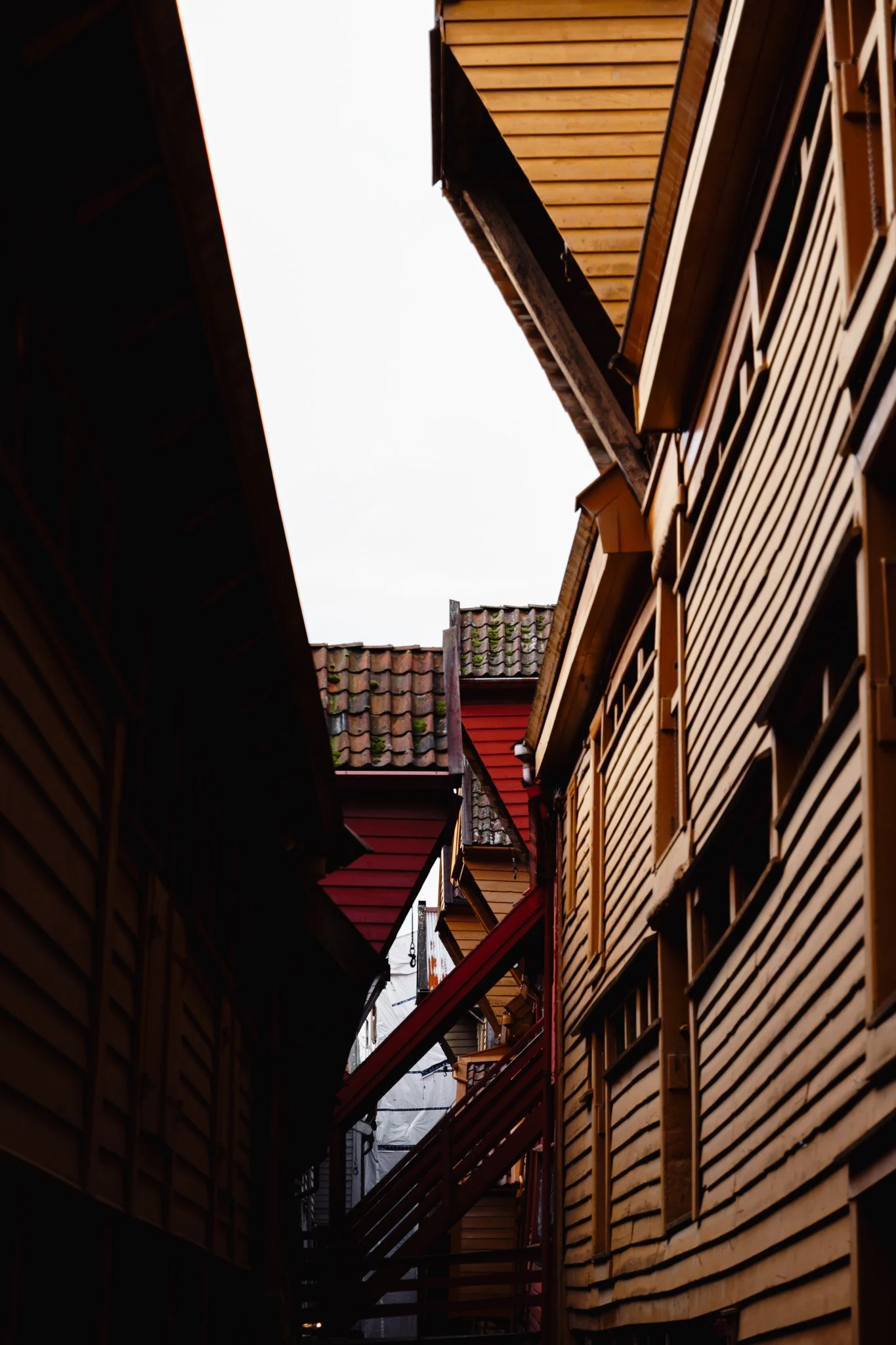 Georgina Morrison-Bergen Norway 2023_24.jpg