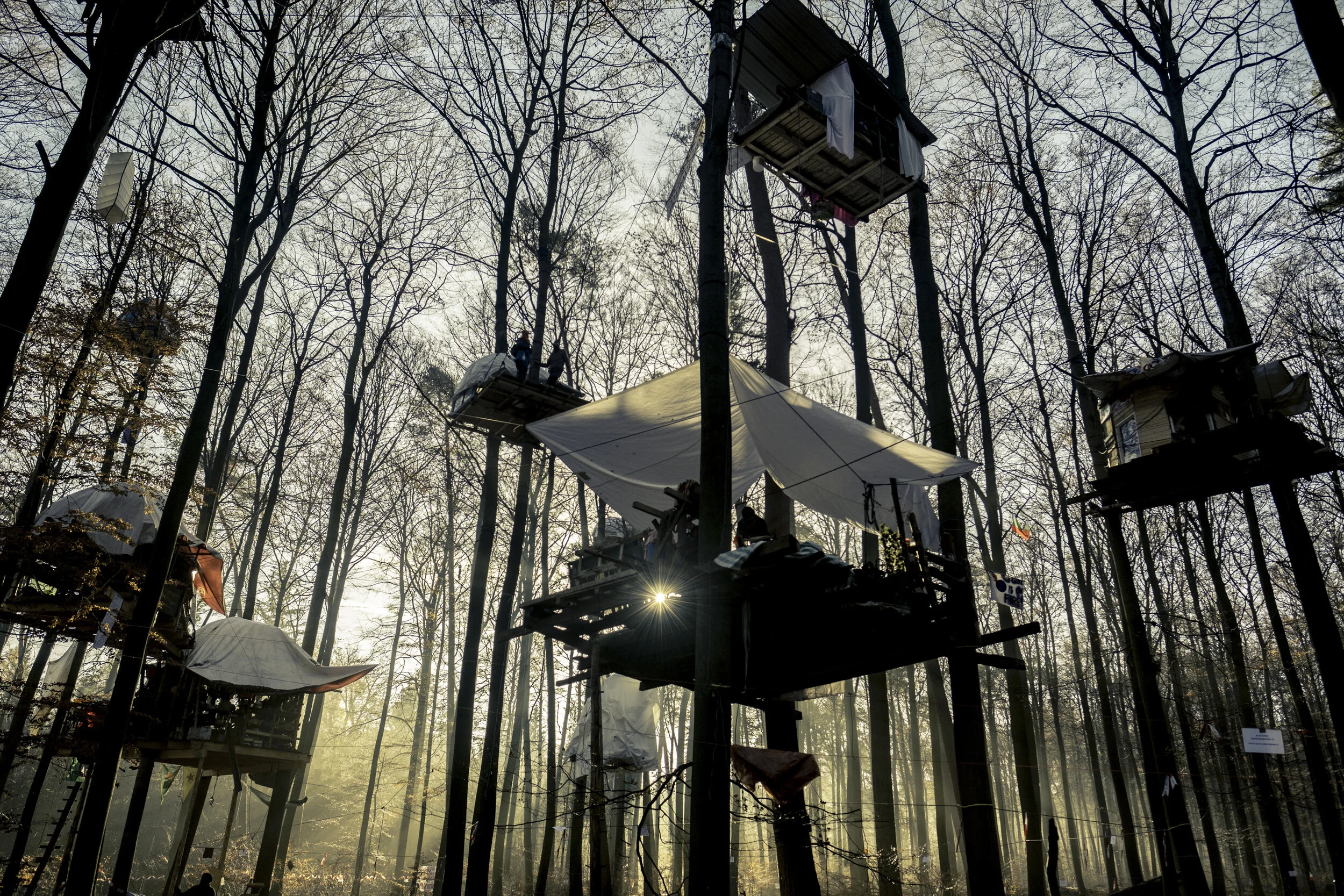 swingforce_danni_T4S1961_4000px_MR.jpg