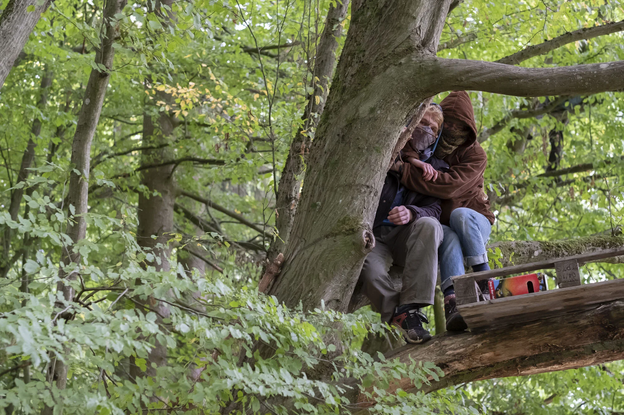 dannenroederwald_DSF4569_HR_2000px.jpg