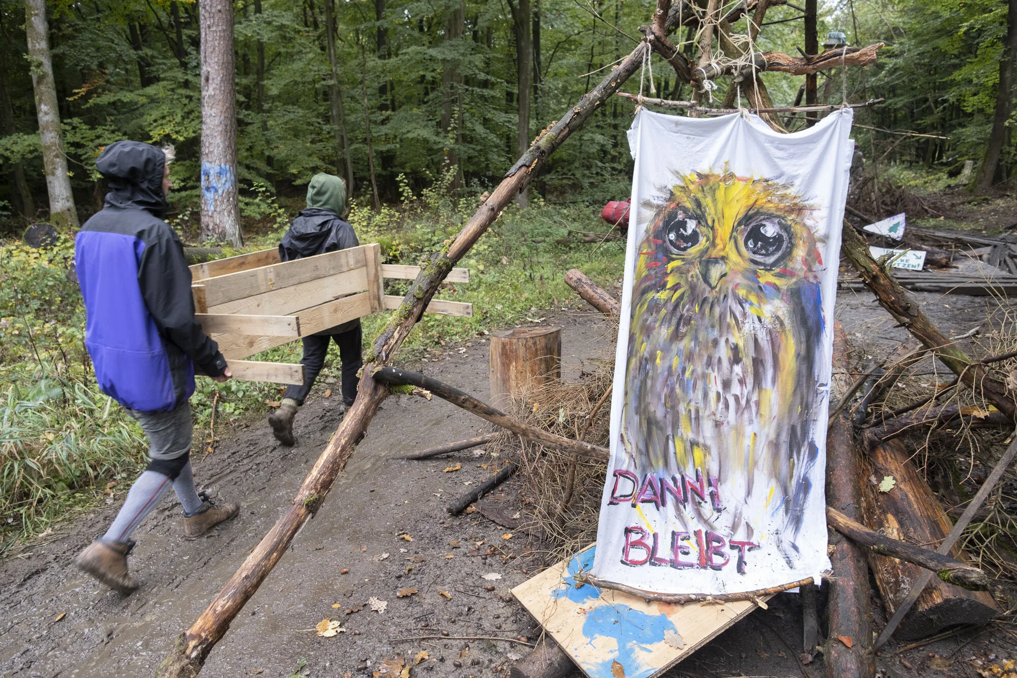 dannenroederwald_DSF0439_HR_2000px.jpg