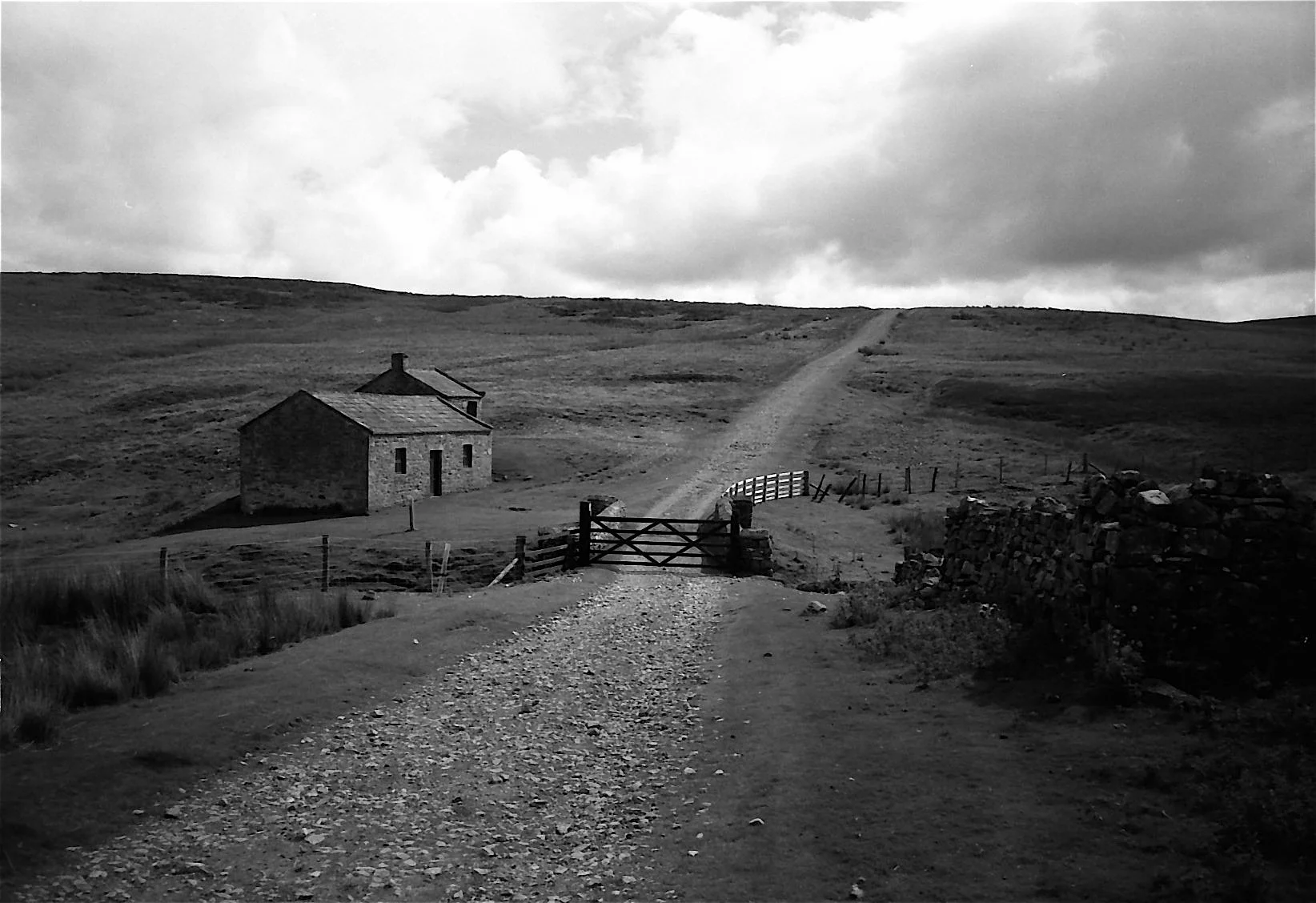 Yks moor_223_2.jpg