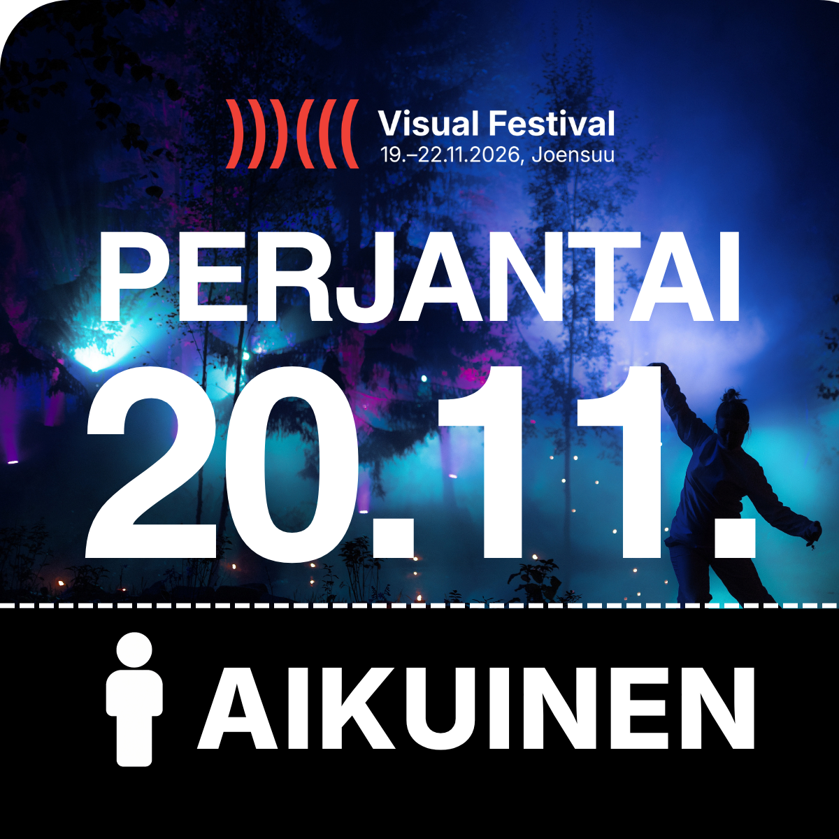 Perjantai 20.11. – Aikuisen lippu | Visual Festival 2026