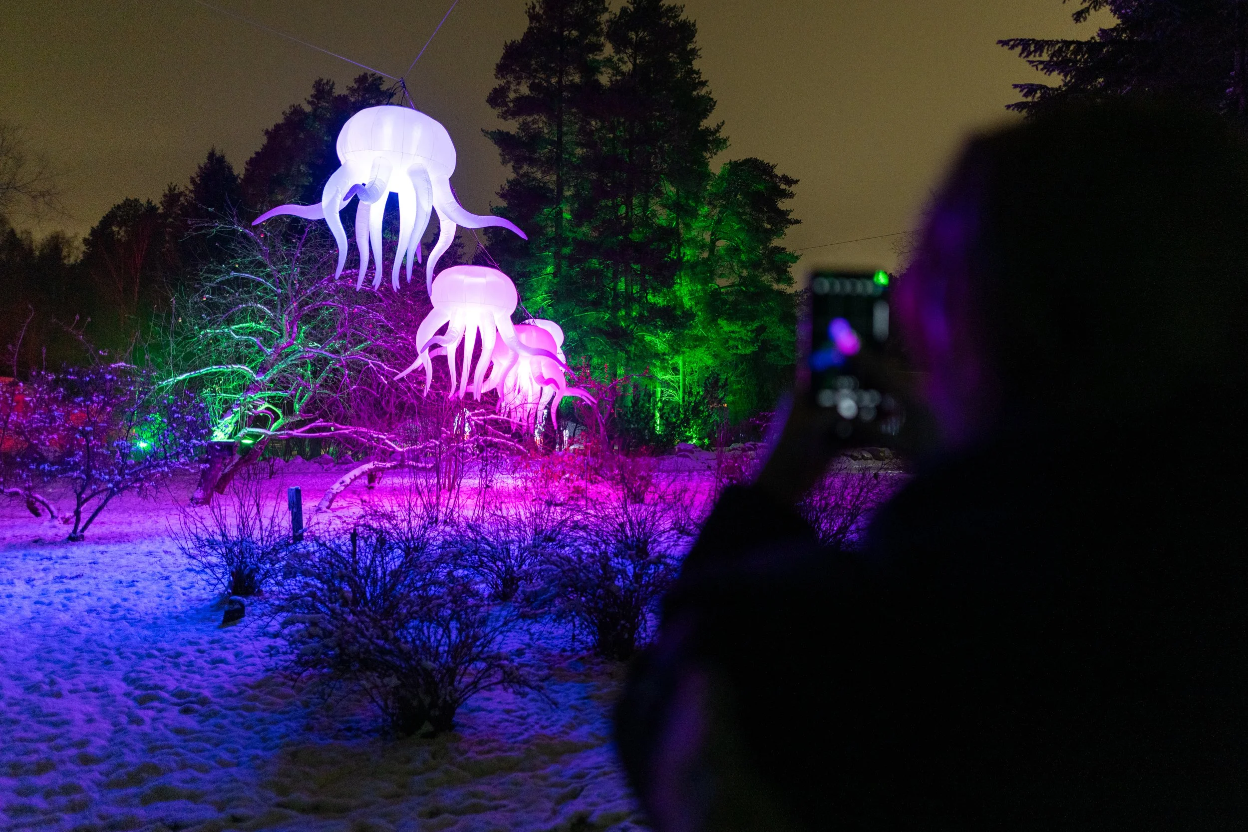 VisualFest2025_Torstai_Rami_Saarikorpi-8.jpg