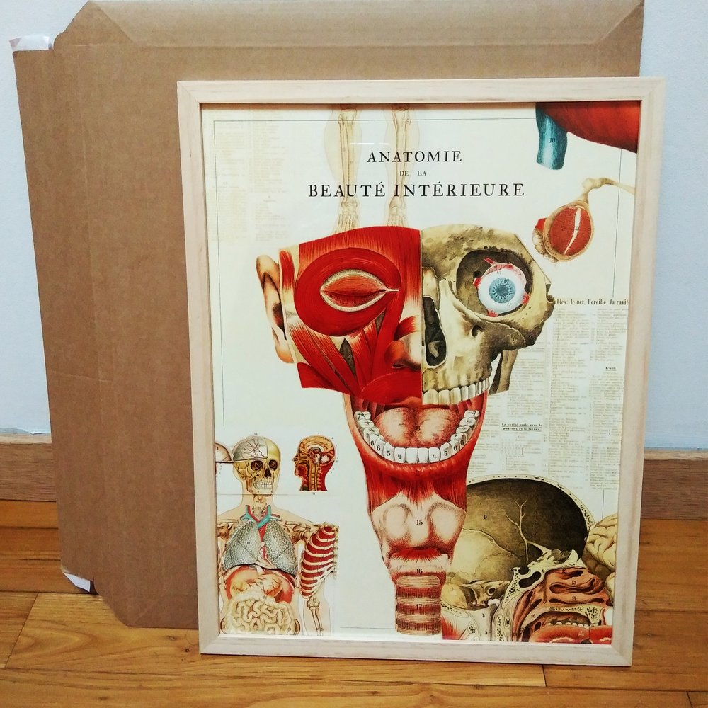 Affiche Vintage Anatomie du corps humain - squelette, coeur