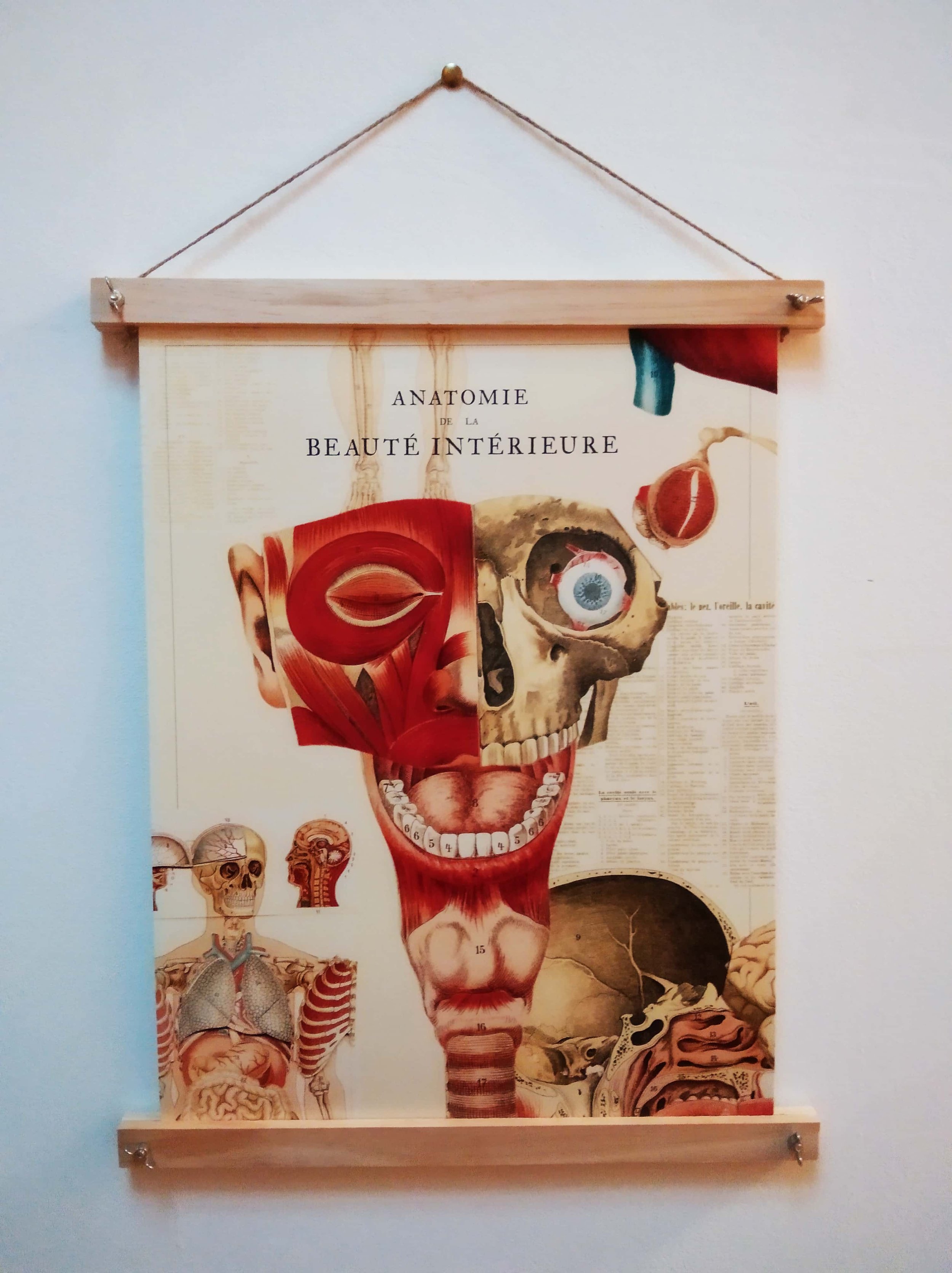 affiche-anatomie-beaute-interieure-vintage-baguettes-bois-maisonchapal-01.jpg