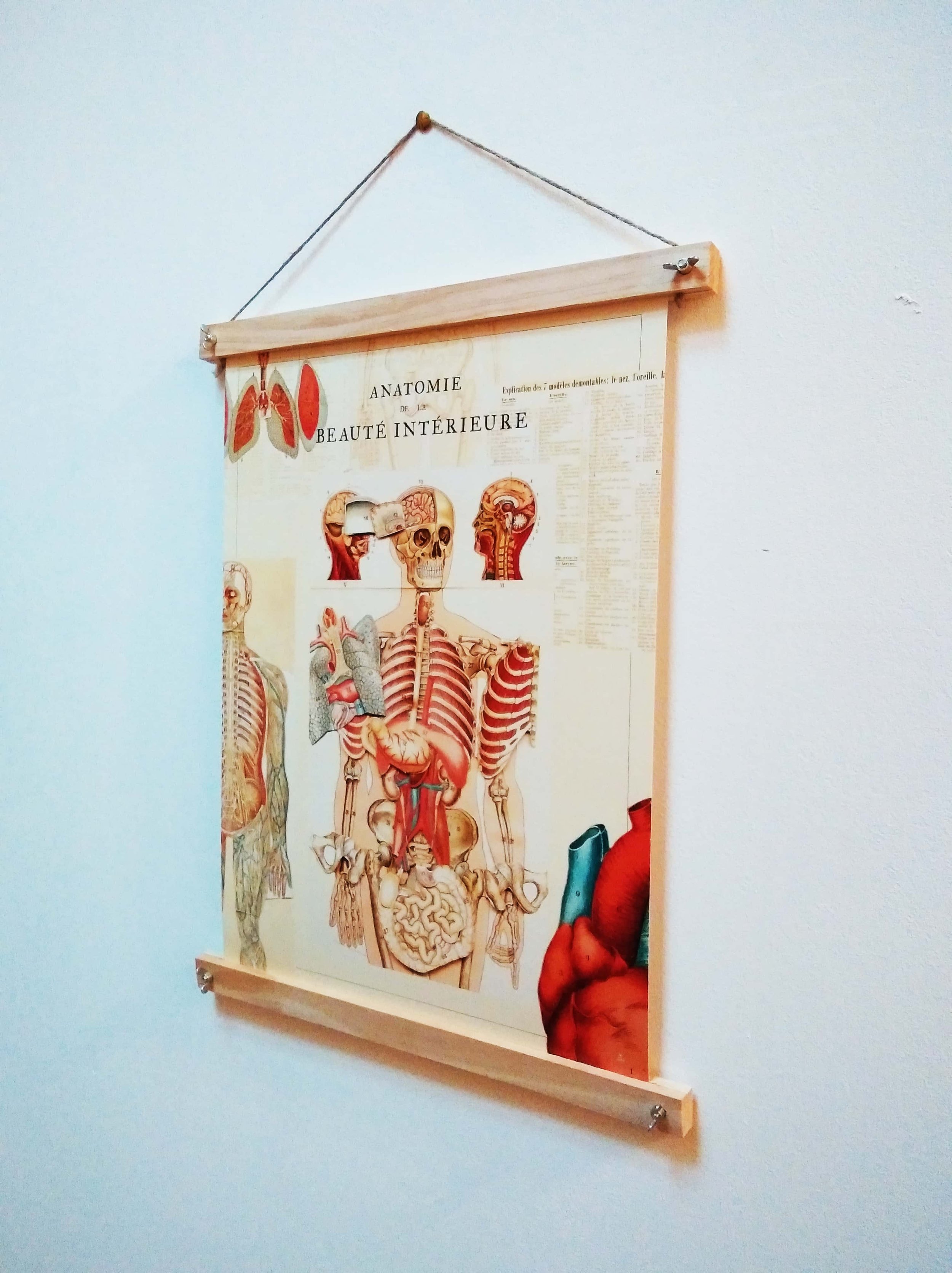 affiche-anatomie-beaute-interieure-vintage-baguettes-bois-maisonchapal-11.jpg