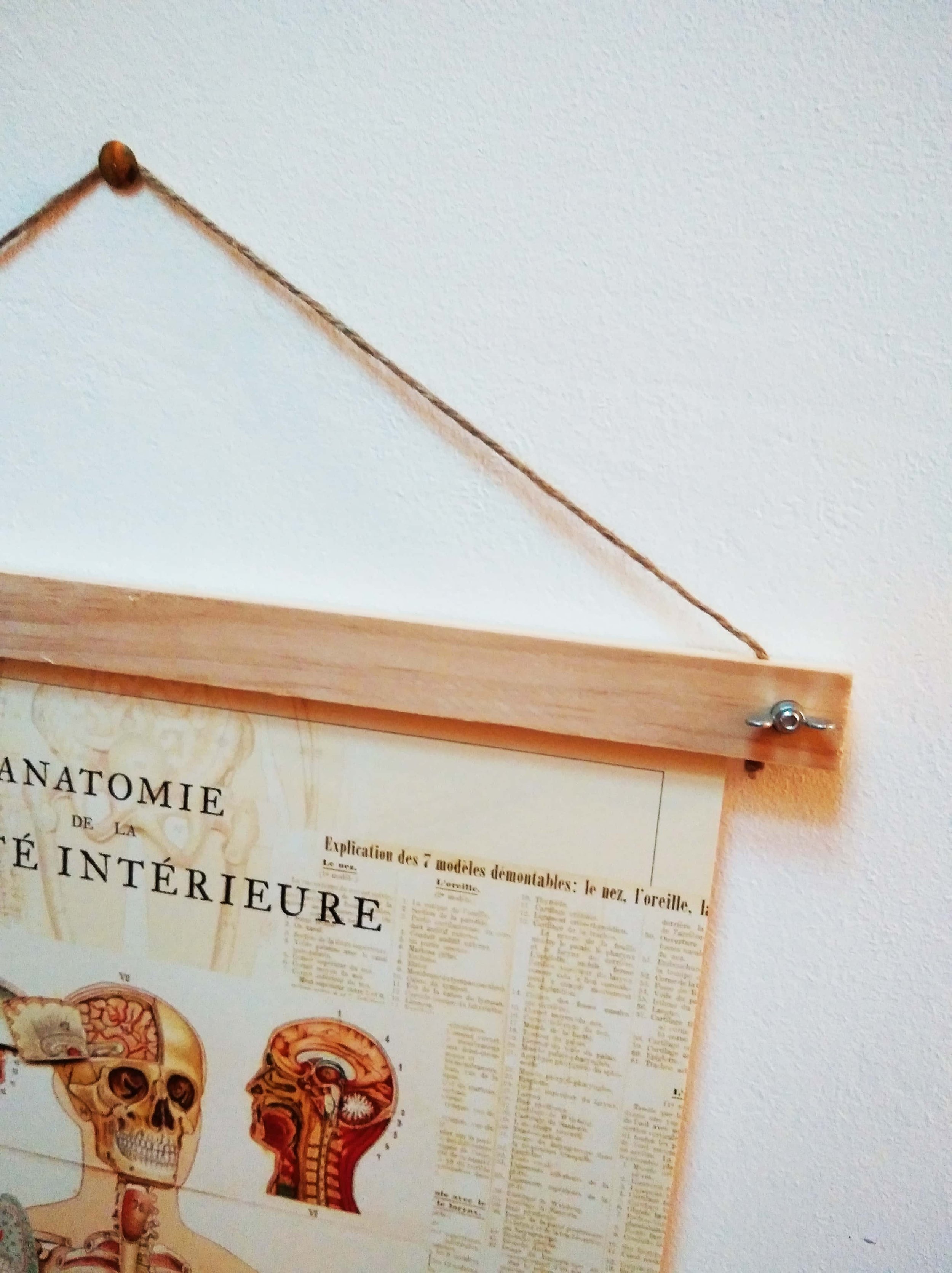 affiche-anatomie-beaute-interieure-vintage-baguettes-bois-maisonchapal-08.jpg