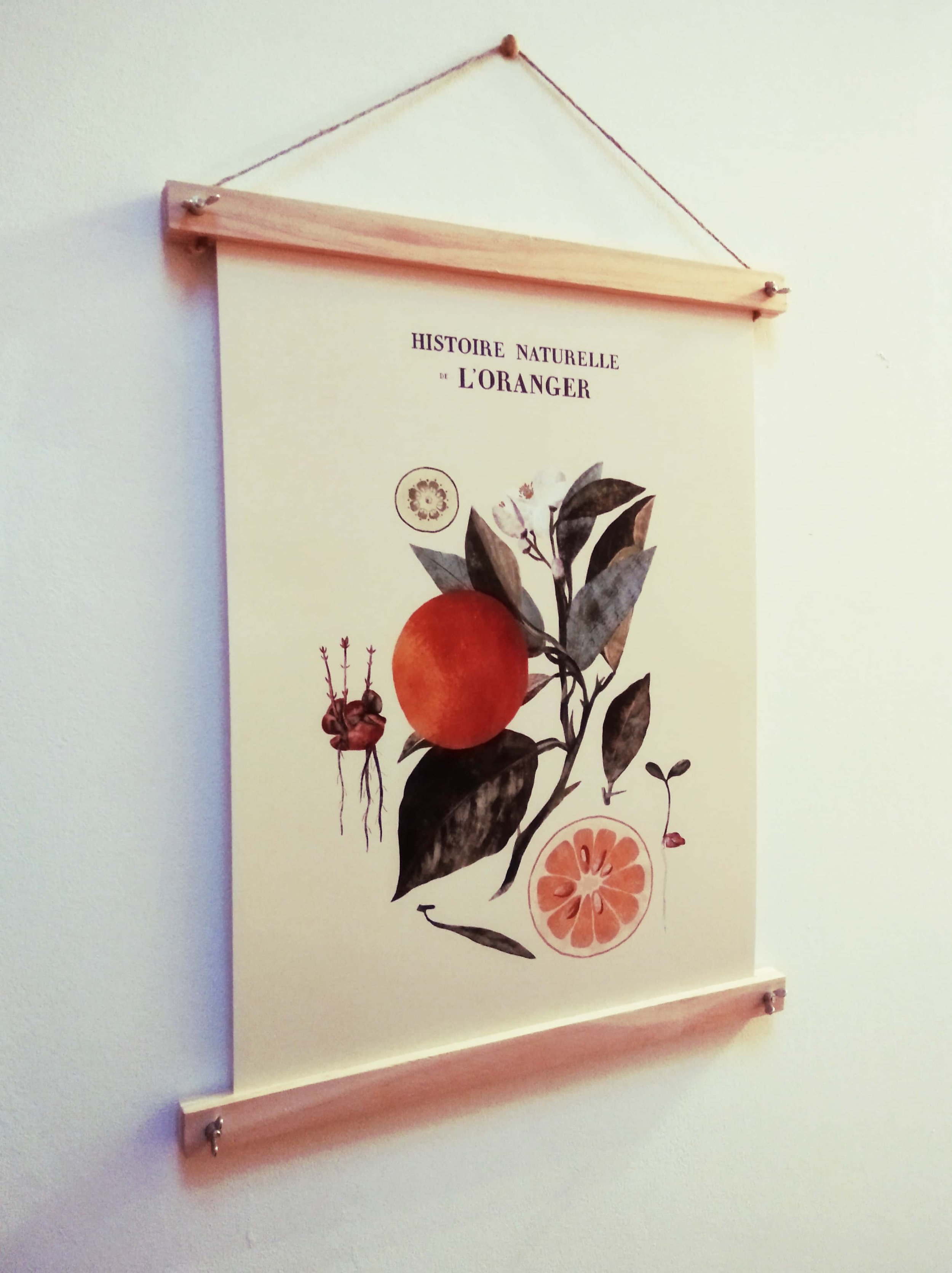 affiche-maisonchapal-oranger-vintage-botanique-baguettes-bois-03.jpg