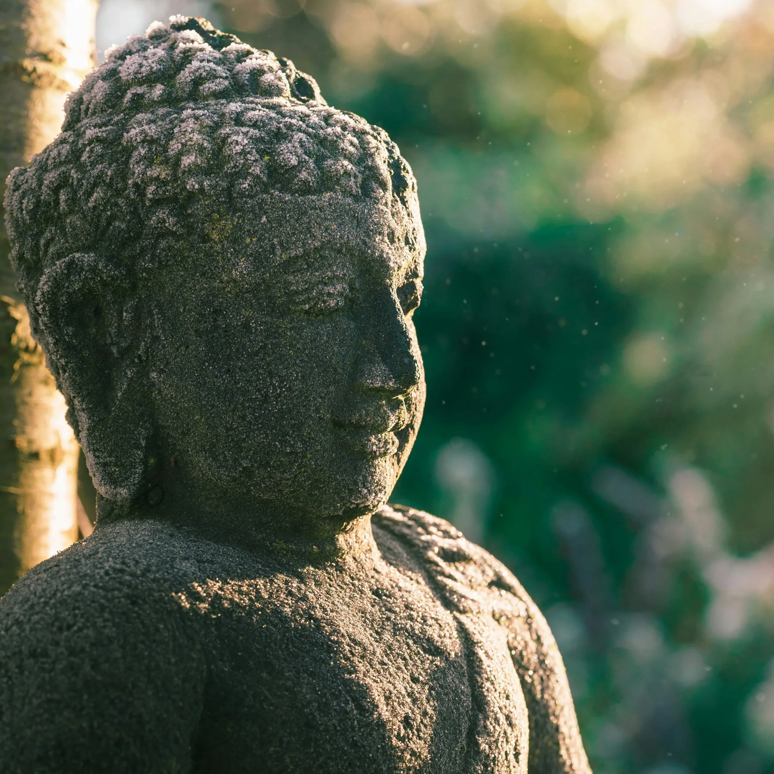 Sitting Boeddha.