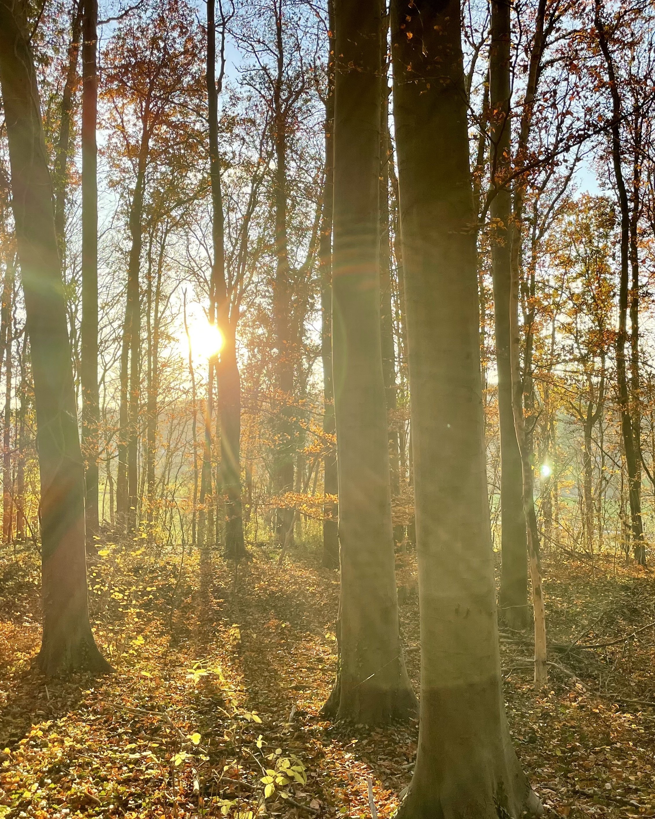 New Meditation: Feeling and Letting go