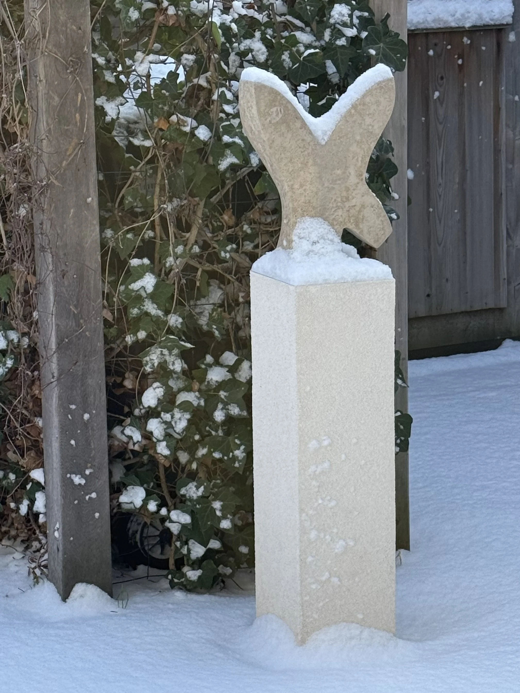 New Year's Offer: 3 Sessions Series Discount!