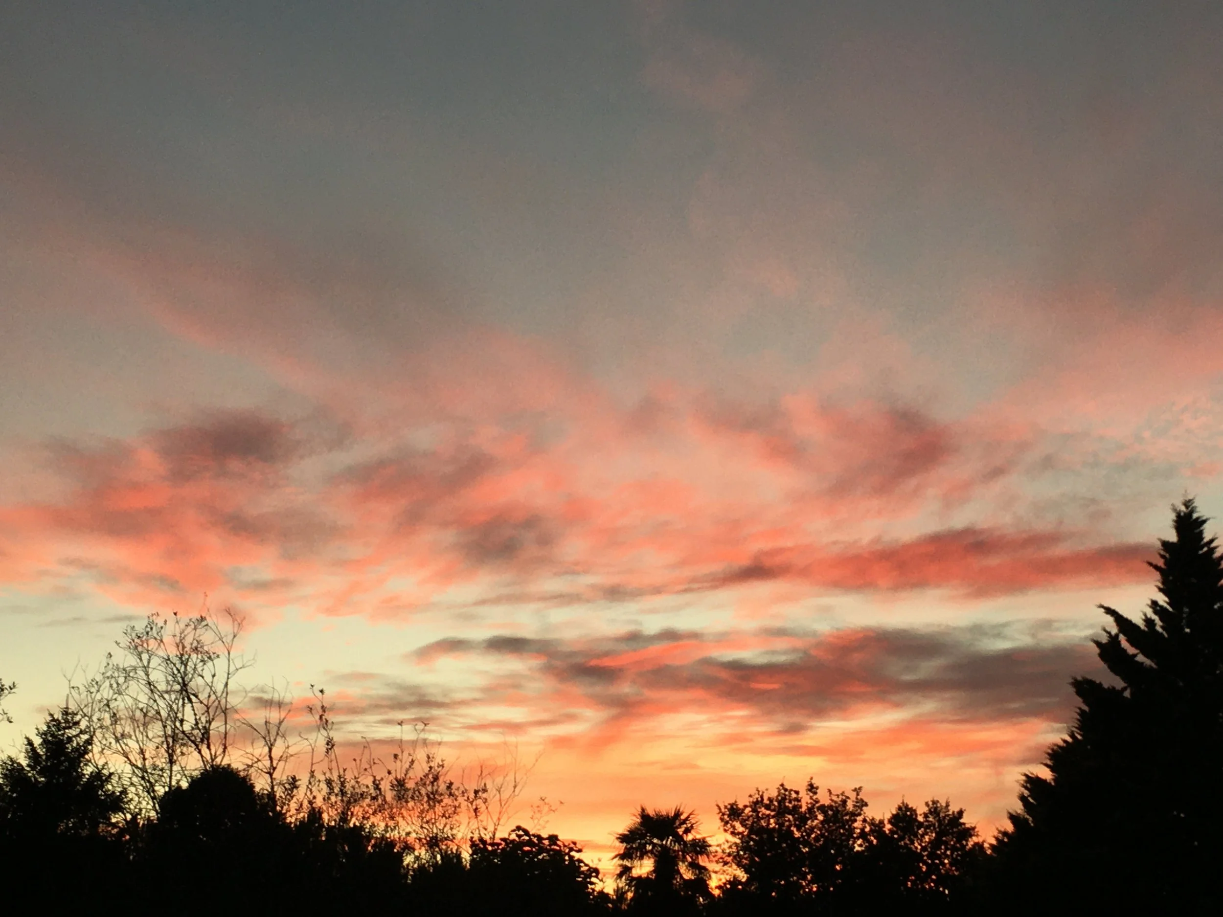 Pink and orange sky during sunset.