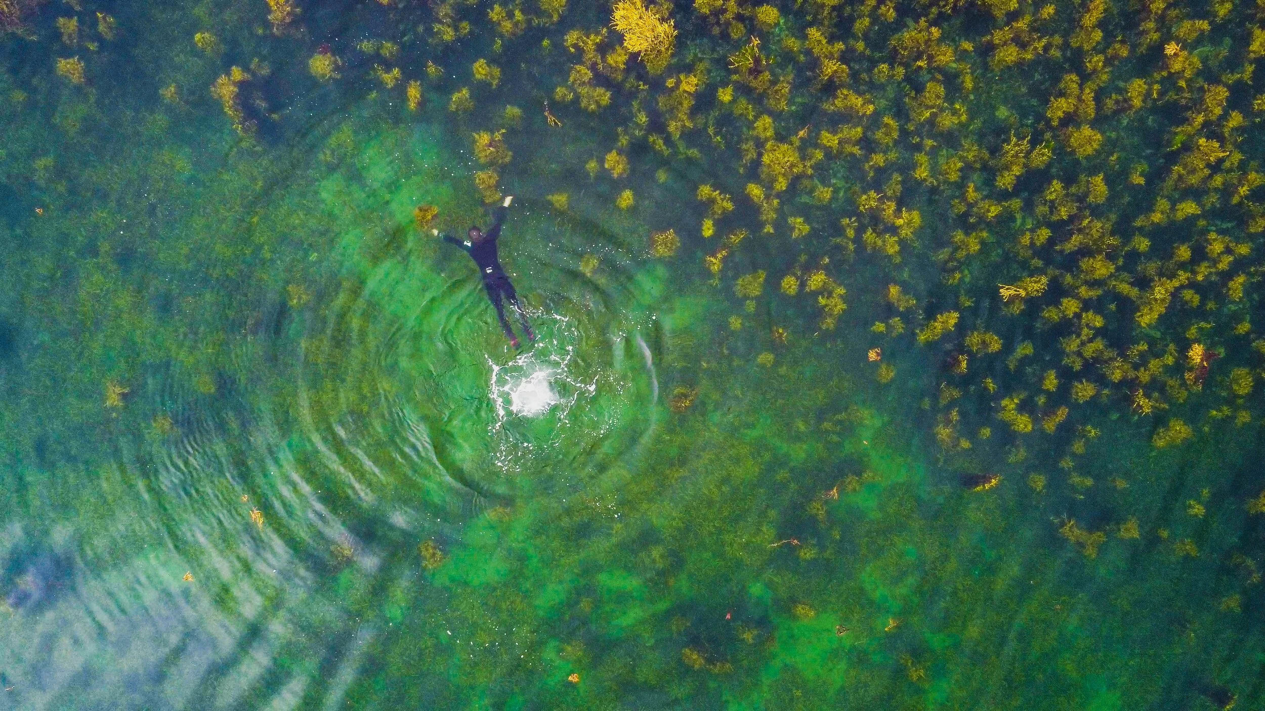 processed_PSX_20210914_143825.jpg