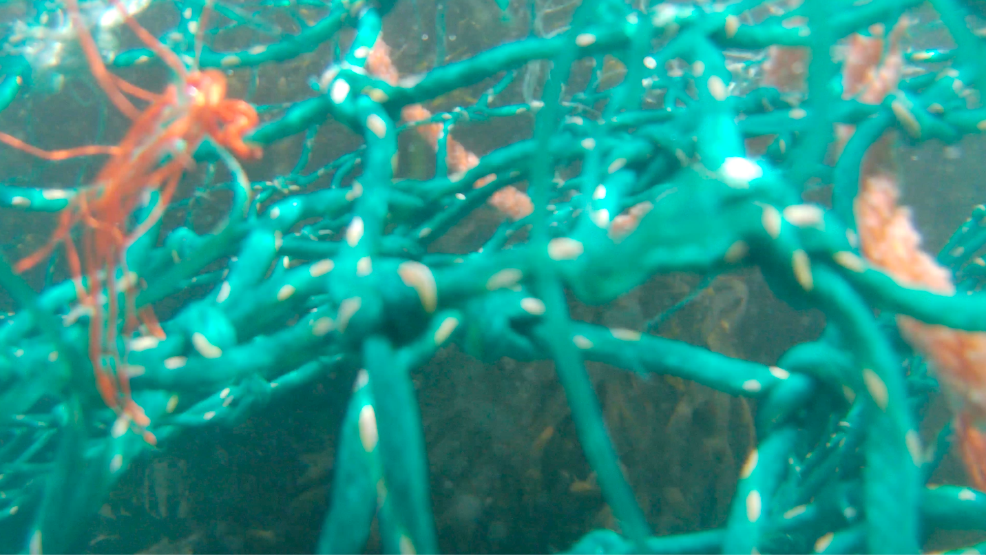 Polypropylene II, 2022,
Film Still
Duration 3’30”