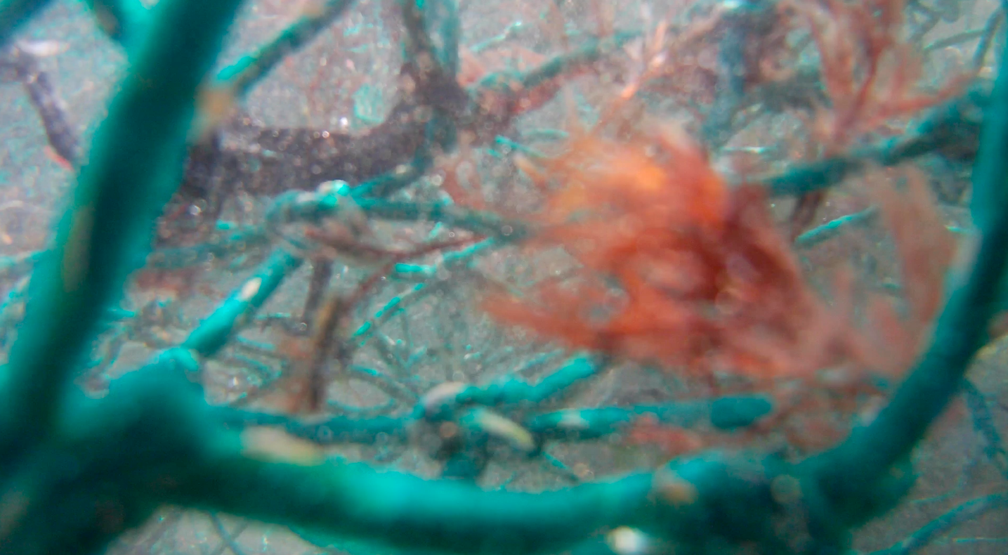 Polypropylene II, 2022,
Film Still
Duration 3’30”
