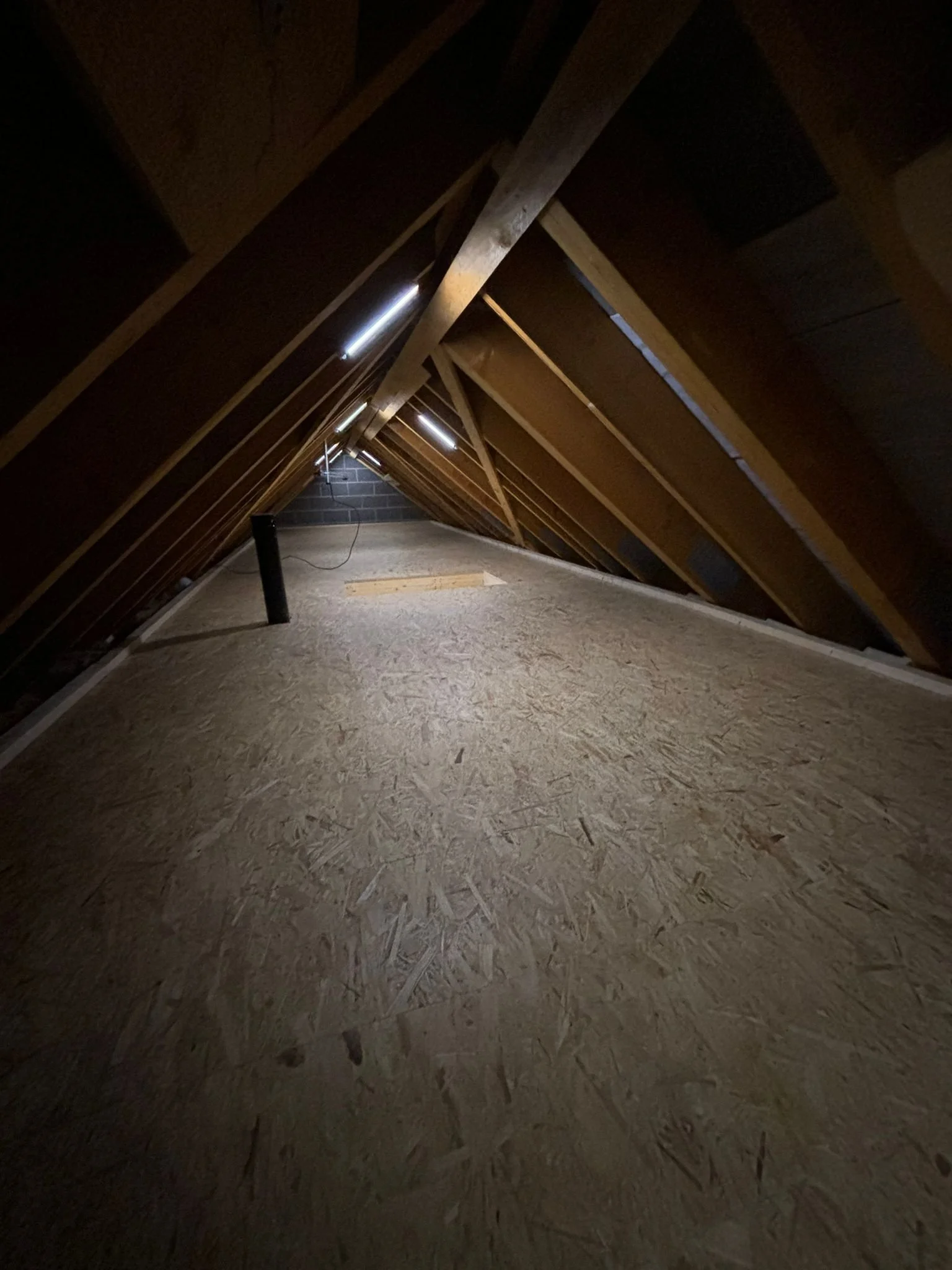 PHOTO-2024-09-03-16-34-14 2.jpg