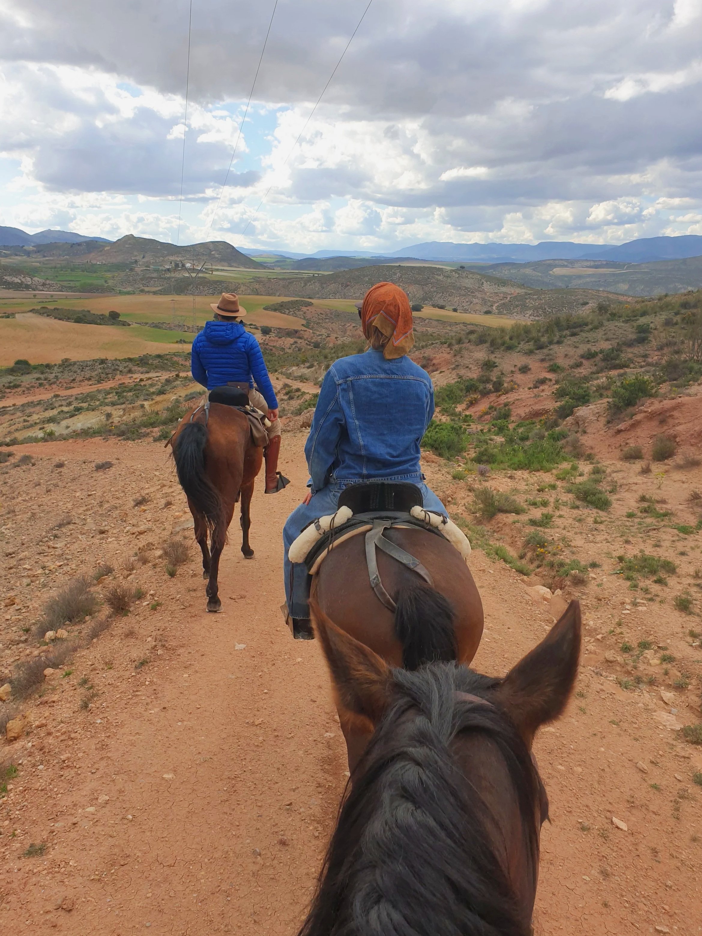 Título de la publicación de blog tres (Copy) (Copy)